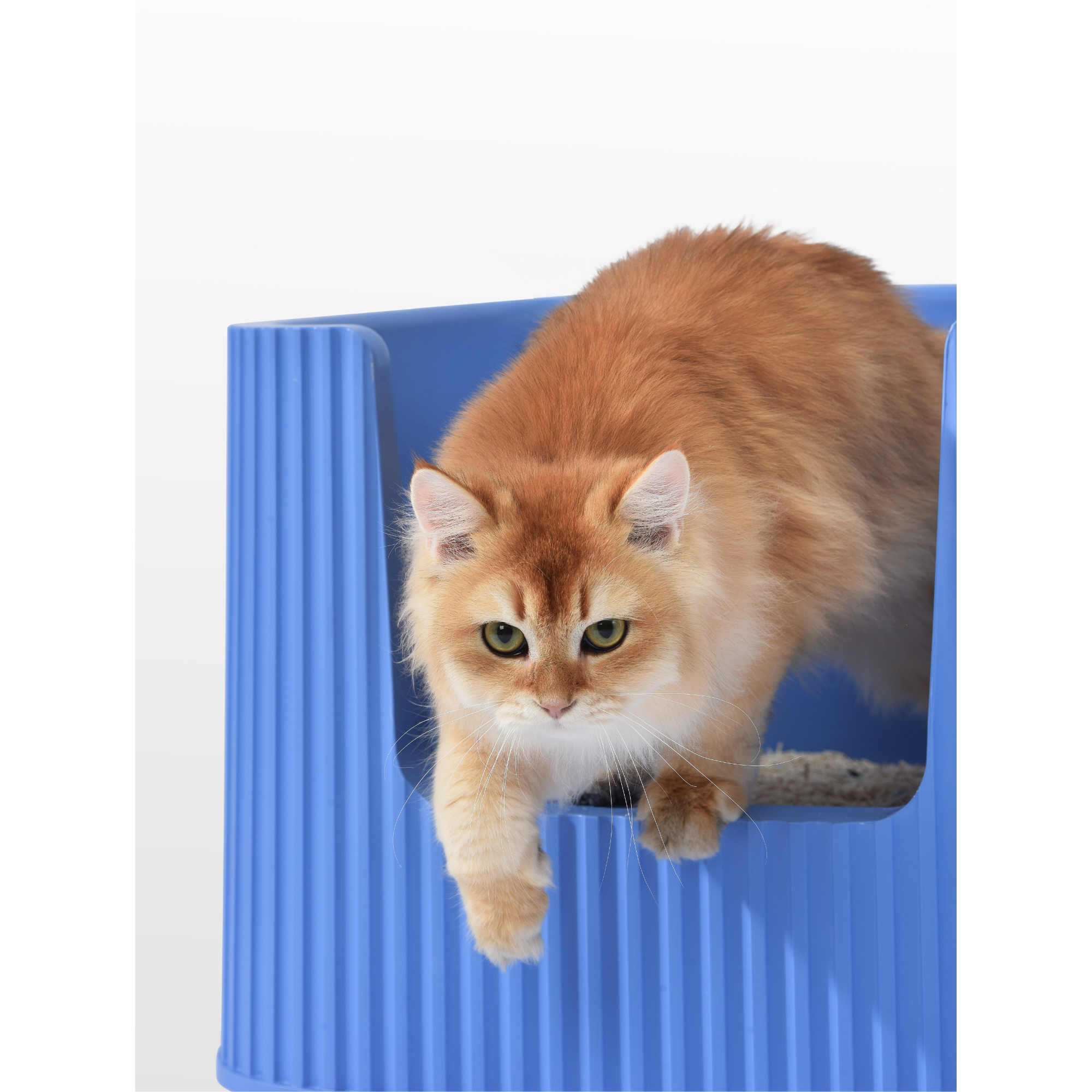 Michu XXL Kaia Deluxe Cat Litter Box