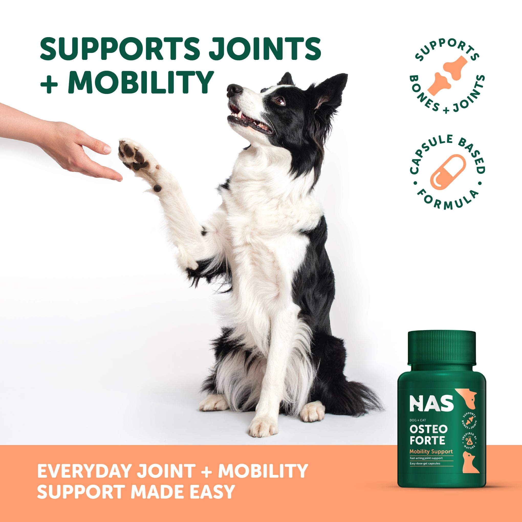 Natural Animal Solutions Osteoforte 60 Pack