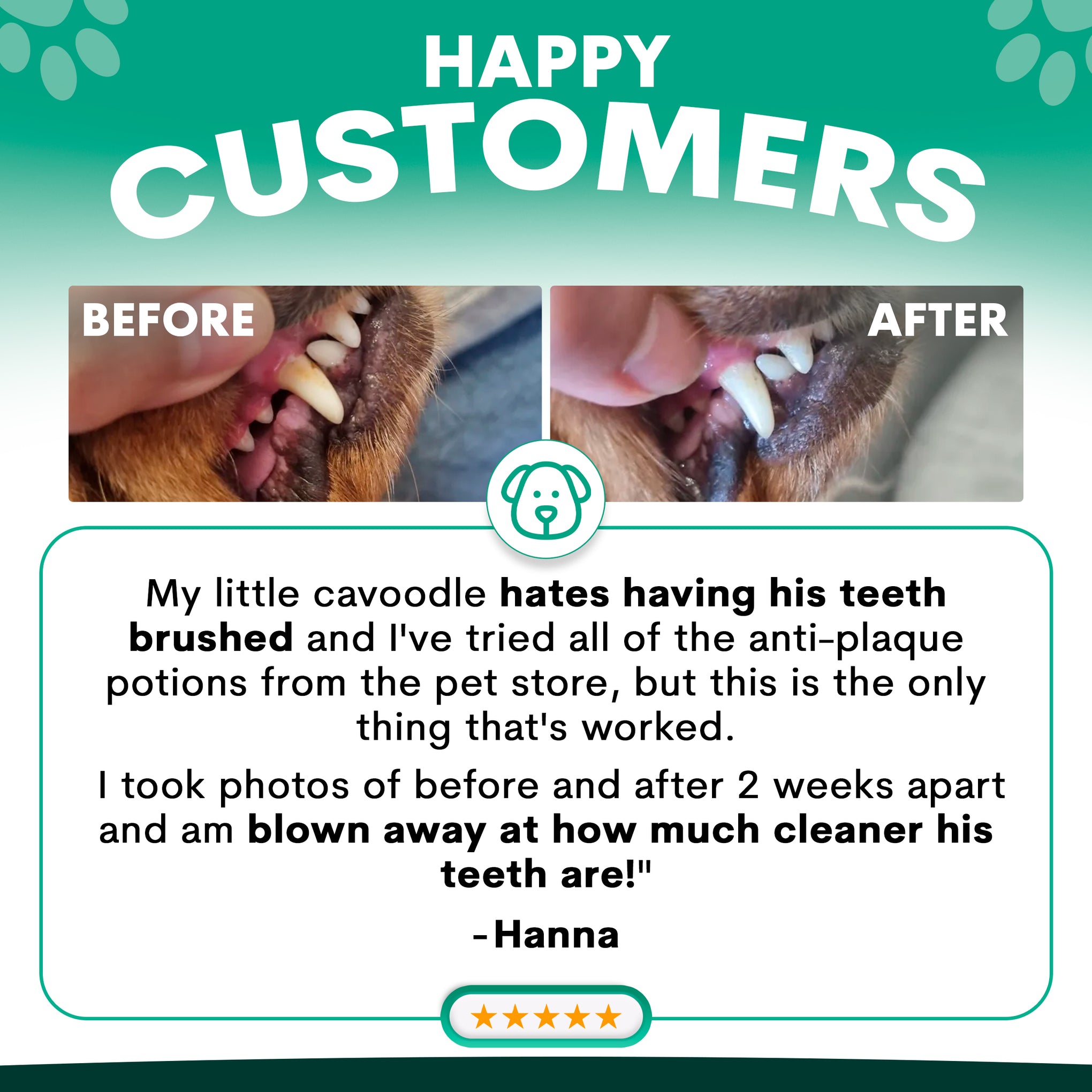 Petz Park Plaque Control for Dogs 126g