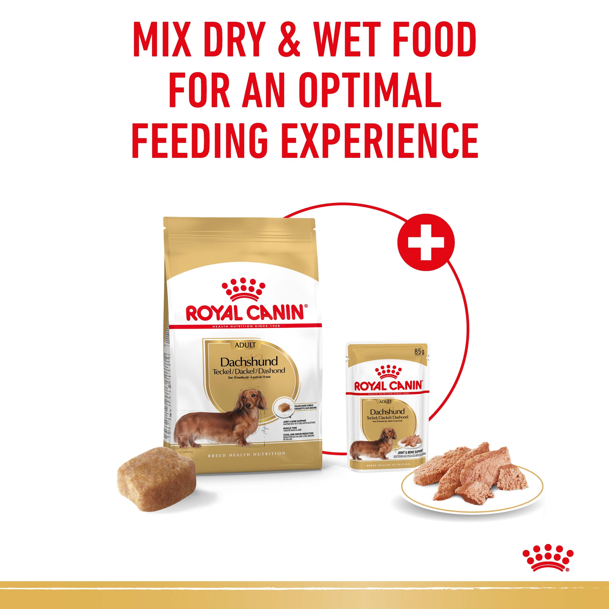 Royal Canin Dachshund Adult Dry Dog Food