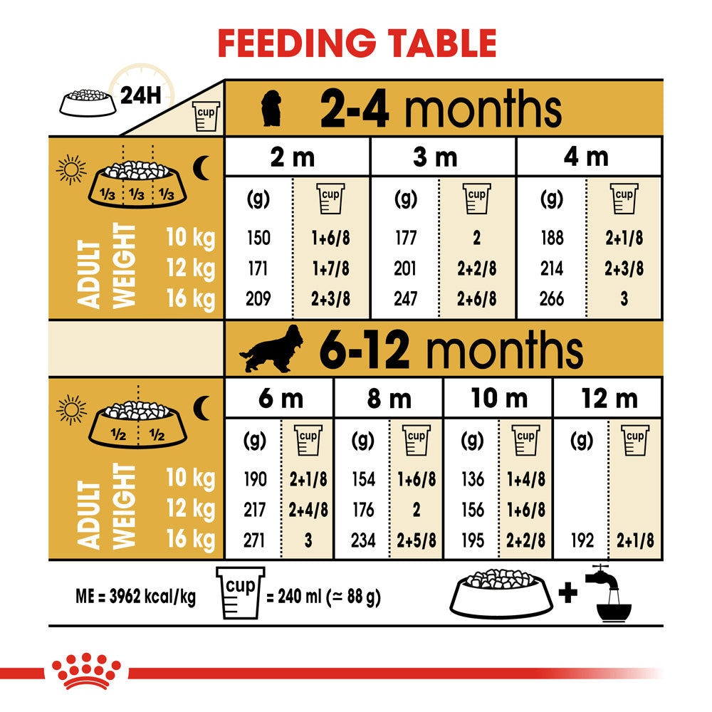 Cocker spaniel dog food hotsell