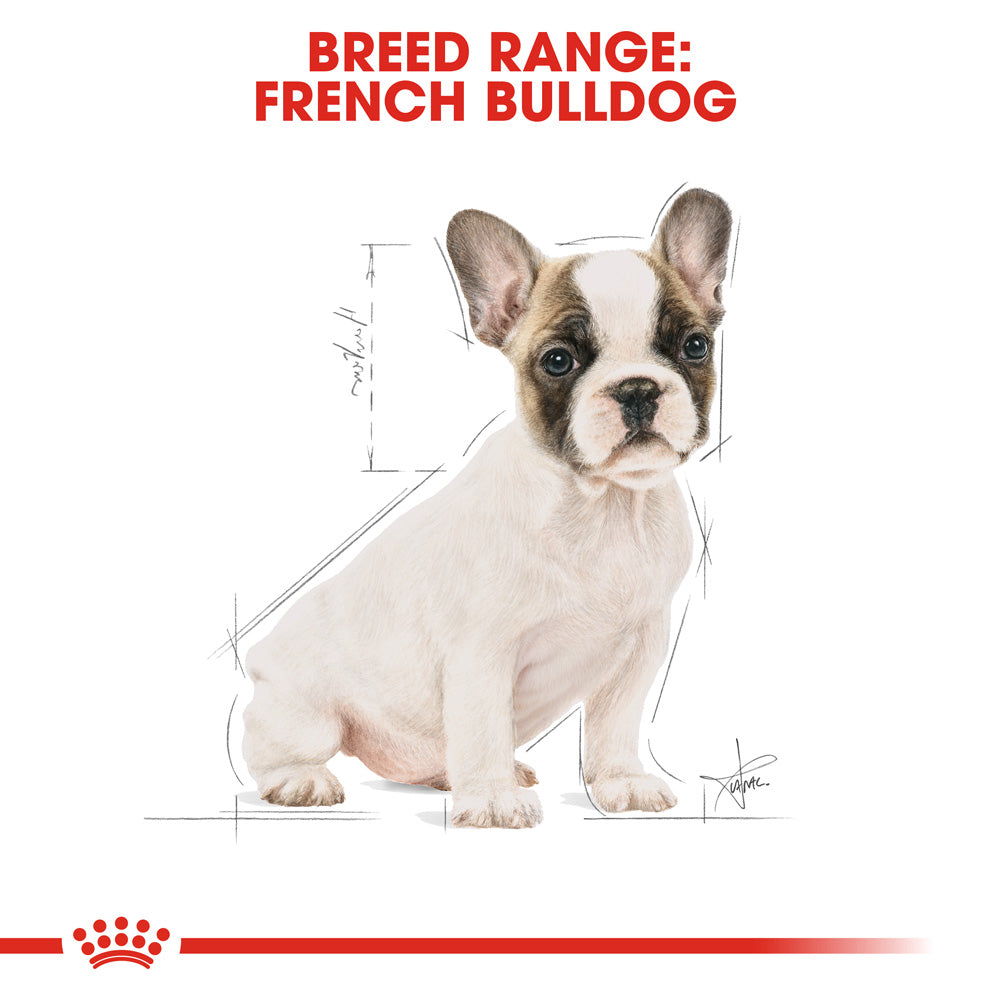 Royal canin french bulldog 3kg sales