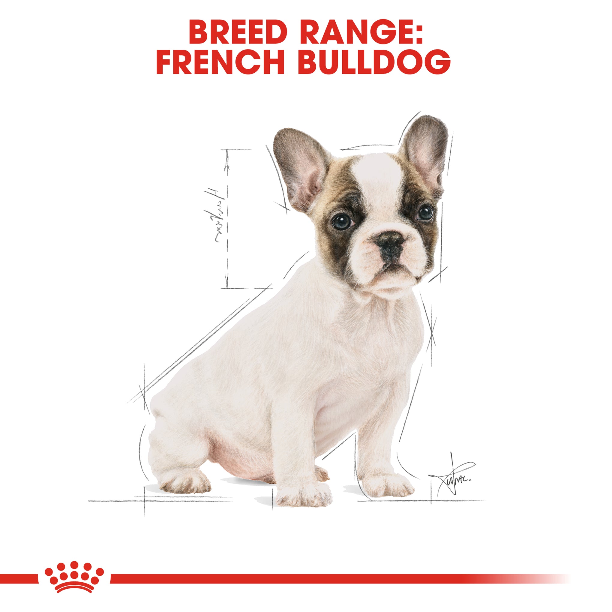 Royal Canin Dog French Bulldog Puppy Dry Food 3kg