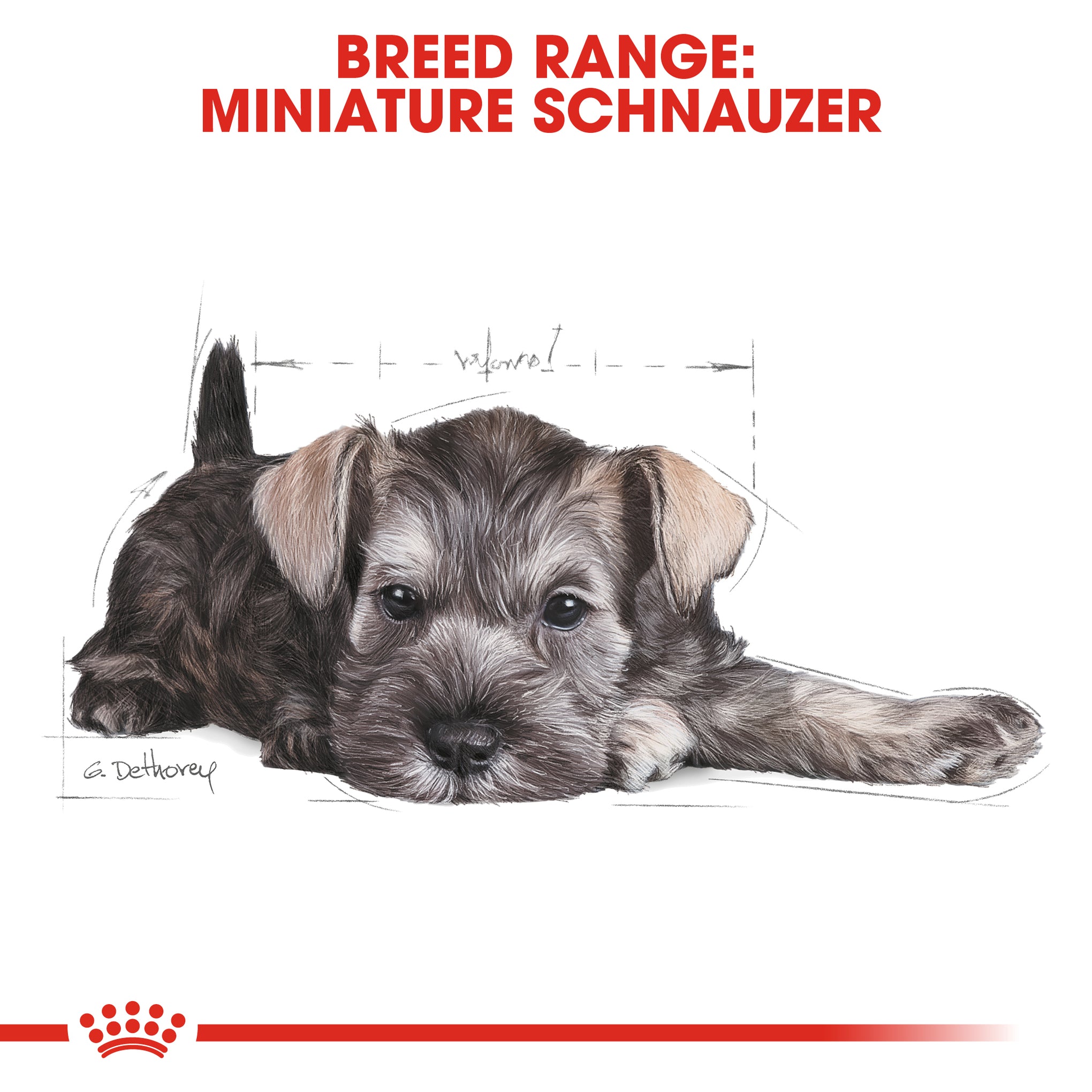 Royal Canin Dog Miniature Schnauzer Puppy Dry Food 1.5kg