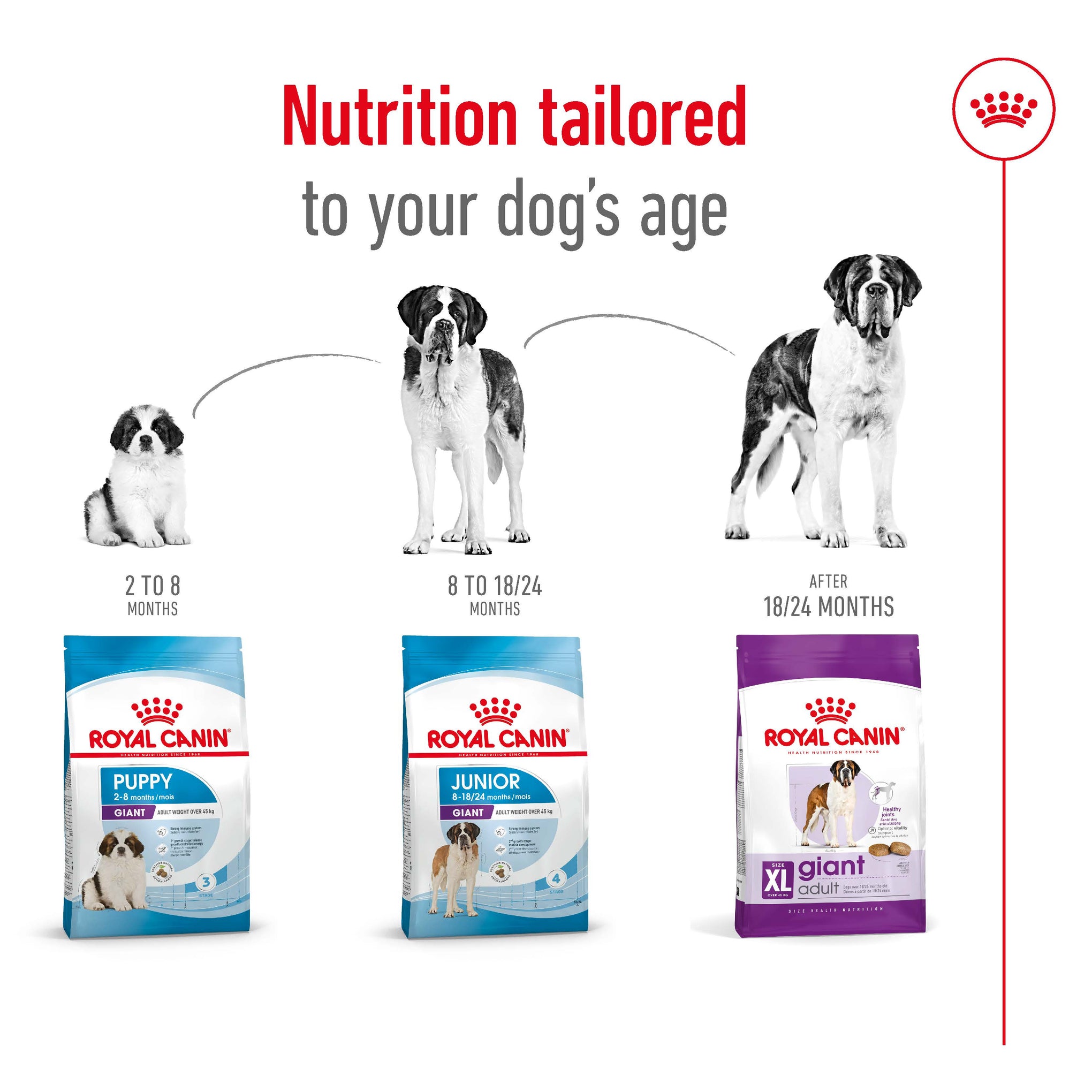 Royal Canin Giant Adult Dry Dog Food 15kg