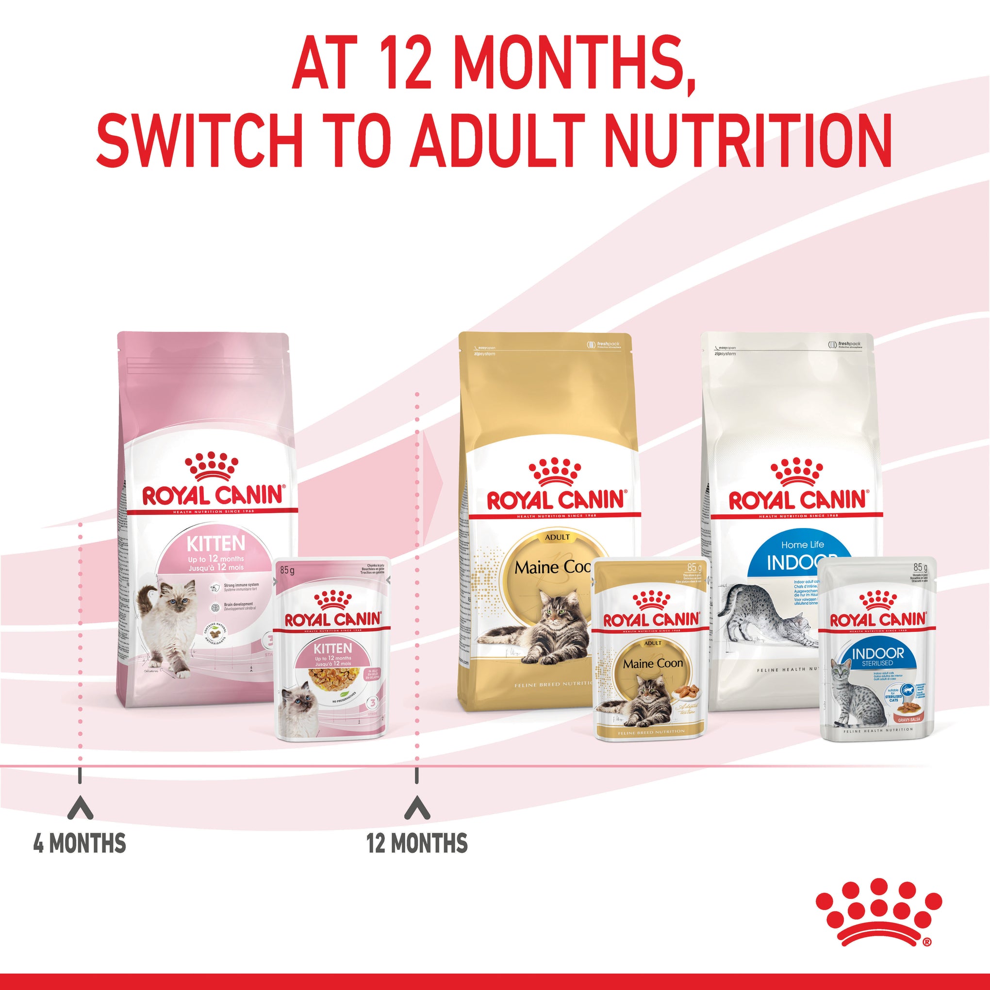 Royal Canin Kitten Instinctive with Jelly Wet Cat Food Pouches 85g x 12