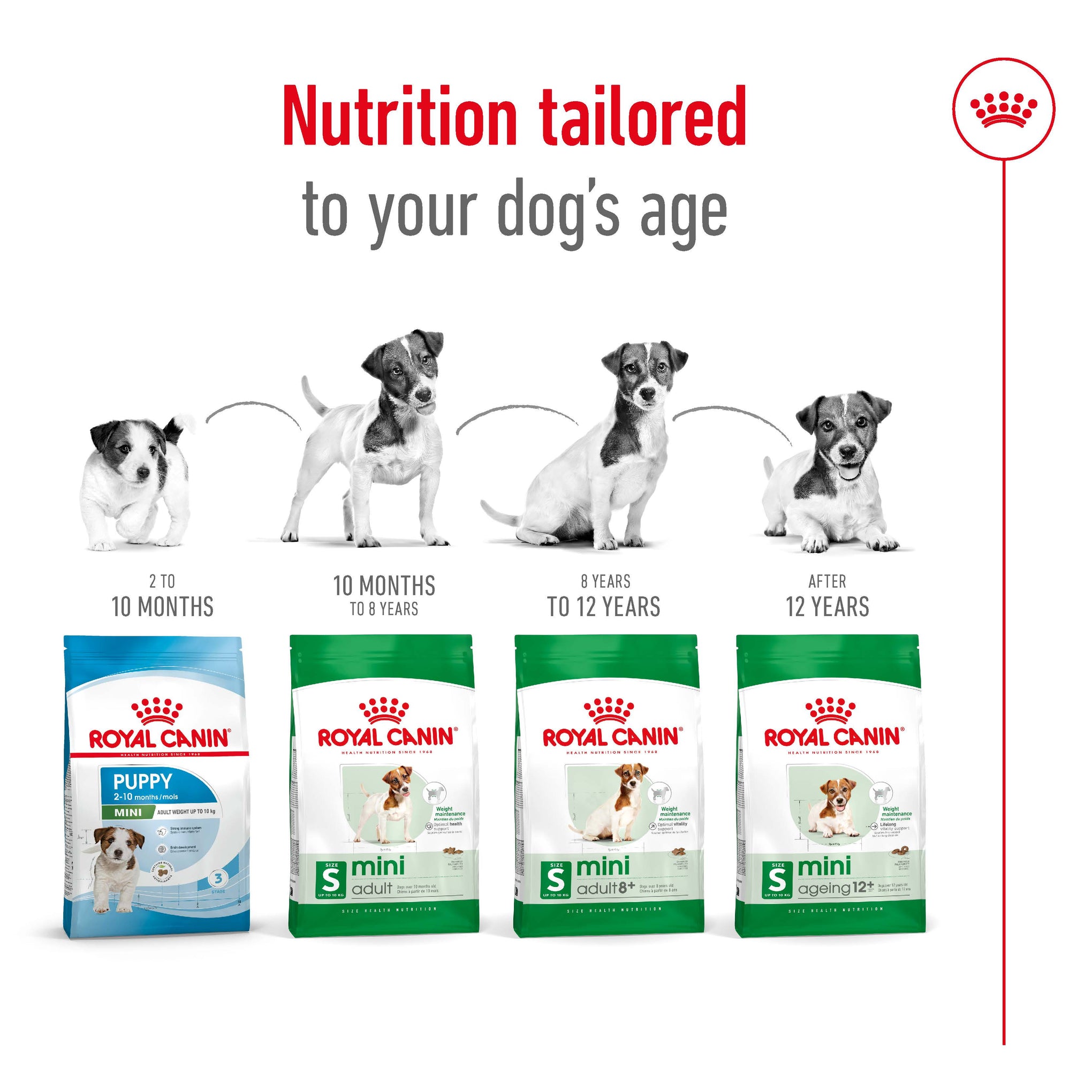 Royal Canin Mini Adult Dry Dog Food