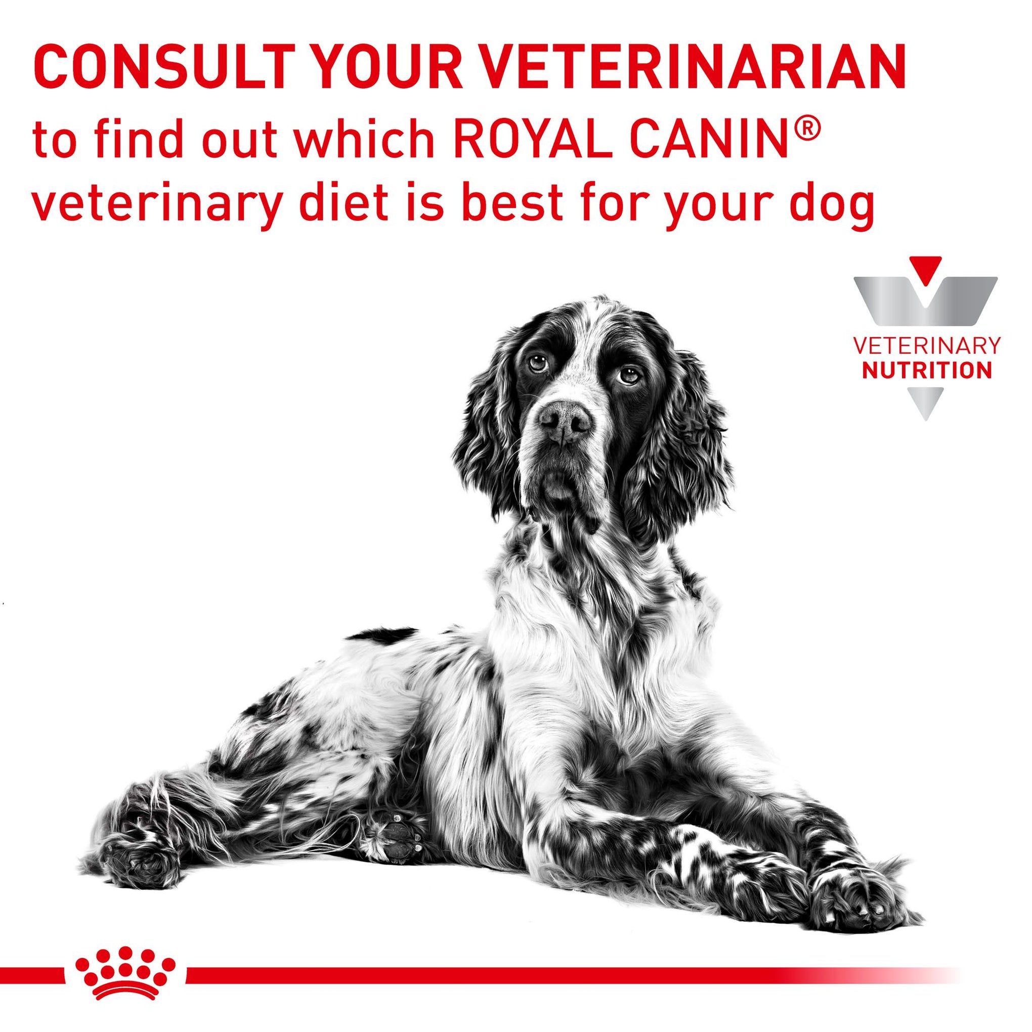 Royal Canin Veterinary Diet Anallergenic Adult Dry Dog Food