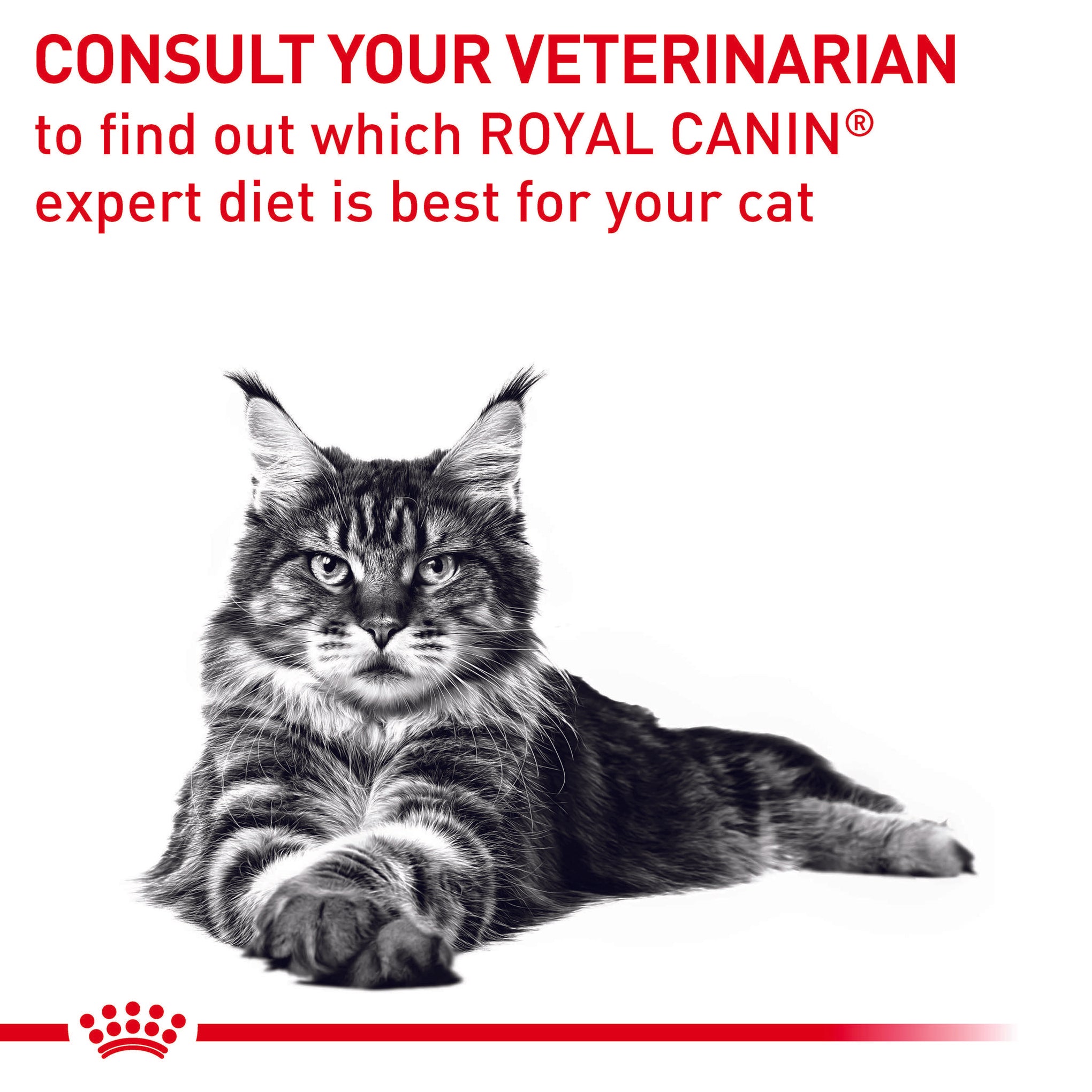 Royal Canin Veterinary Diet Calm Dry Cat Food