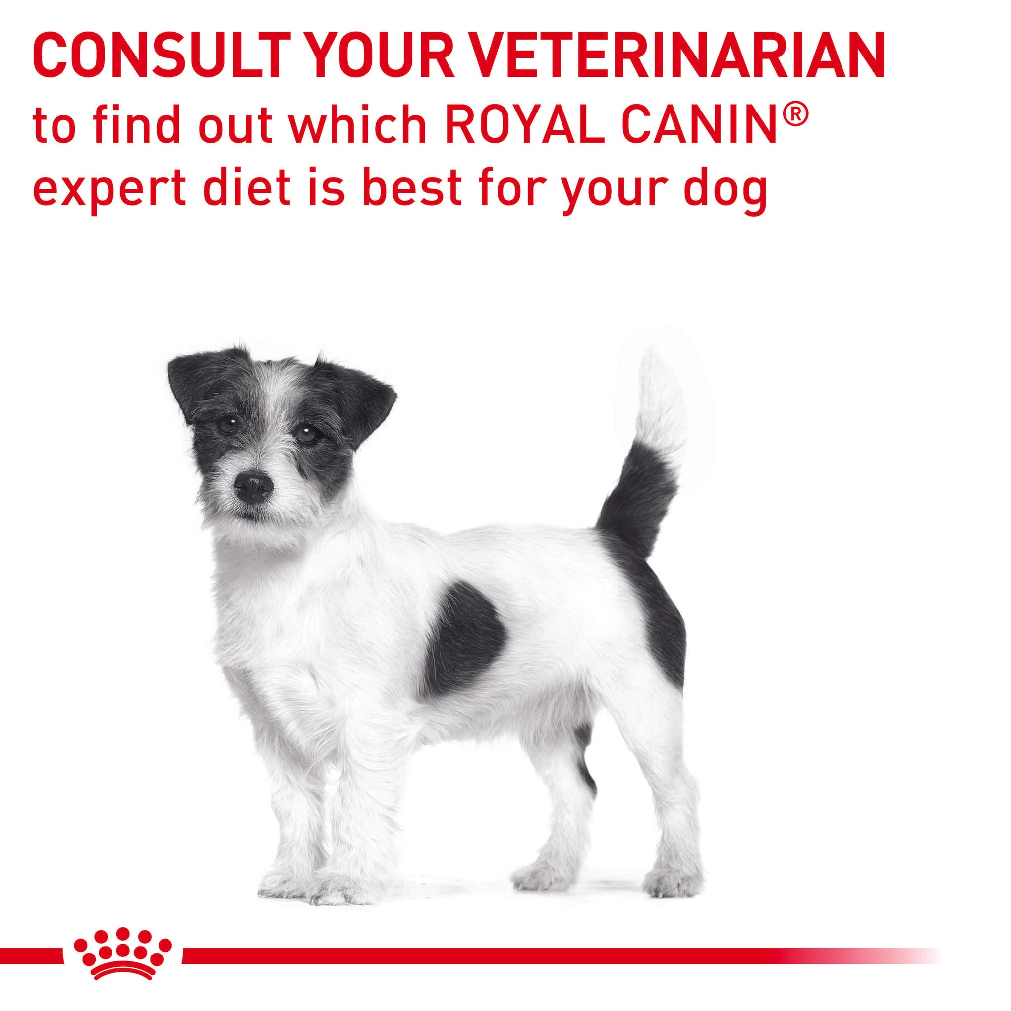 Royal Canin Veterinary Diet Calm Small Adult Dog Dry Dog Food 4kg