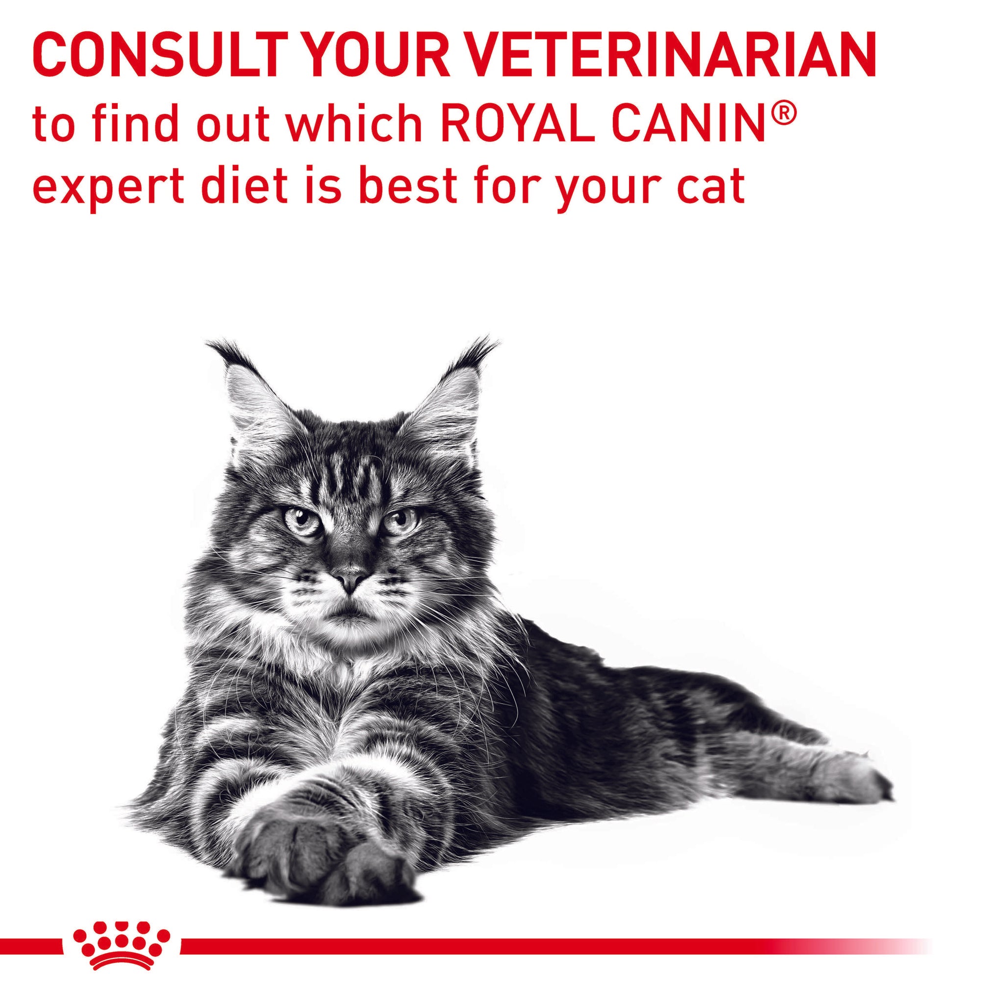 Royal Canin Veterinary Diet Neutered Satiety Balance Dry Cat Food