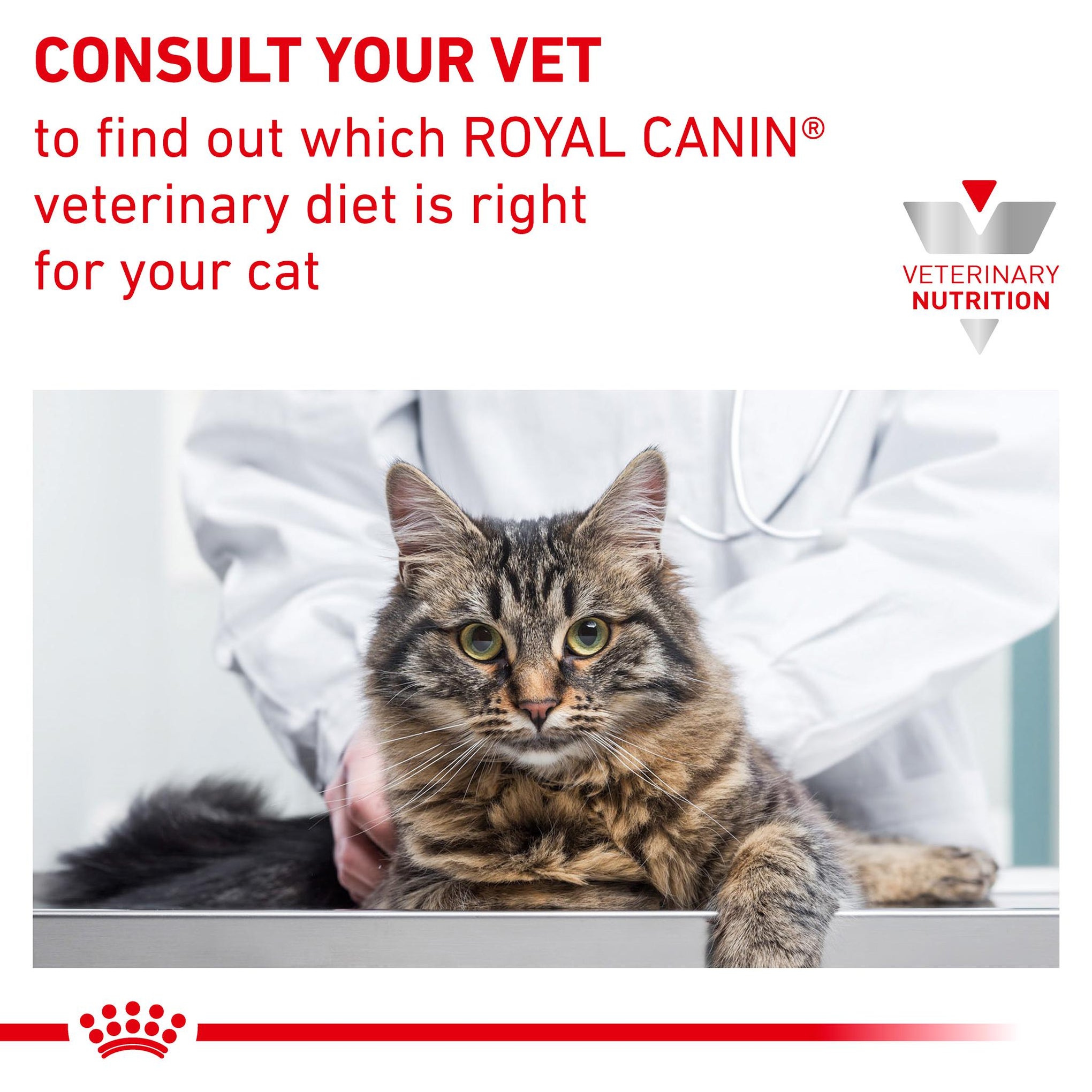 Royal Canin Veterinary Diet Renal Fish Adult Wet Cat Food 85g x 12