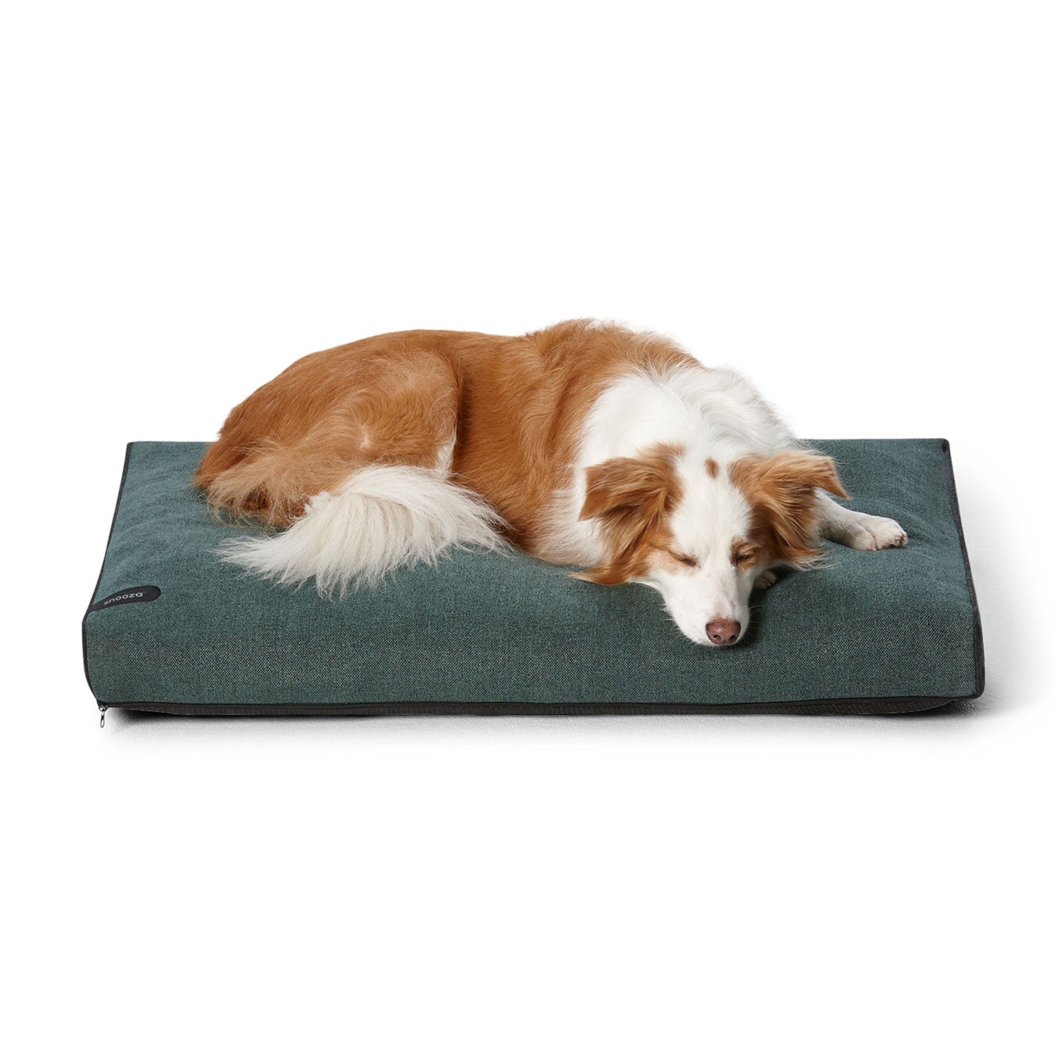 Snooza Modern Day Dog Bed Forest Green