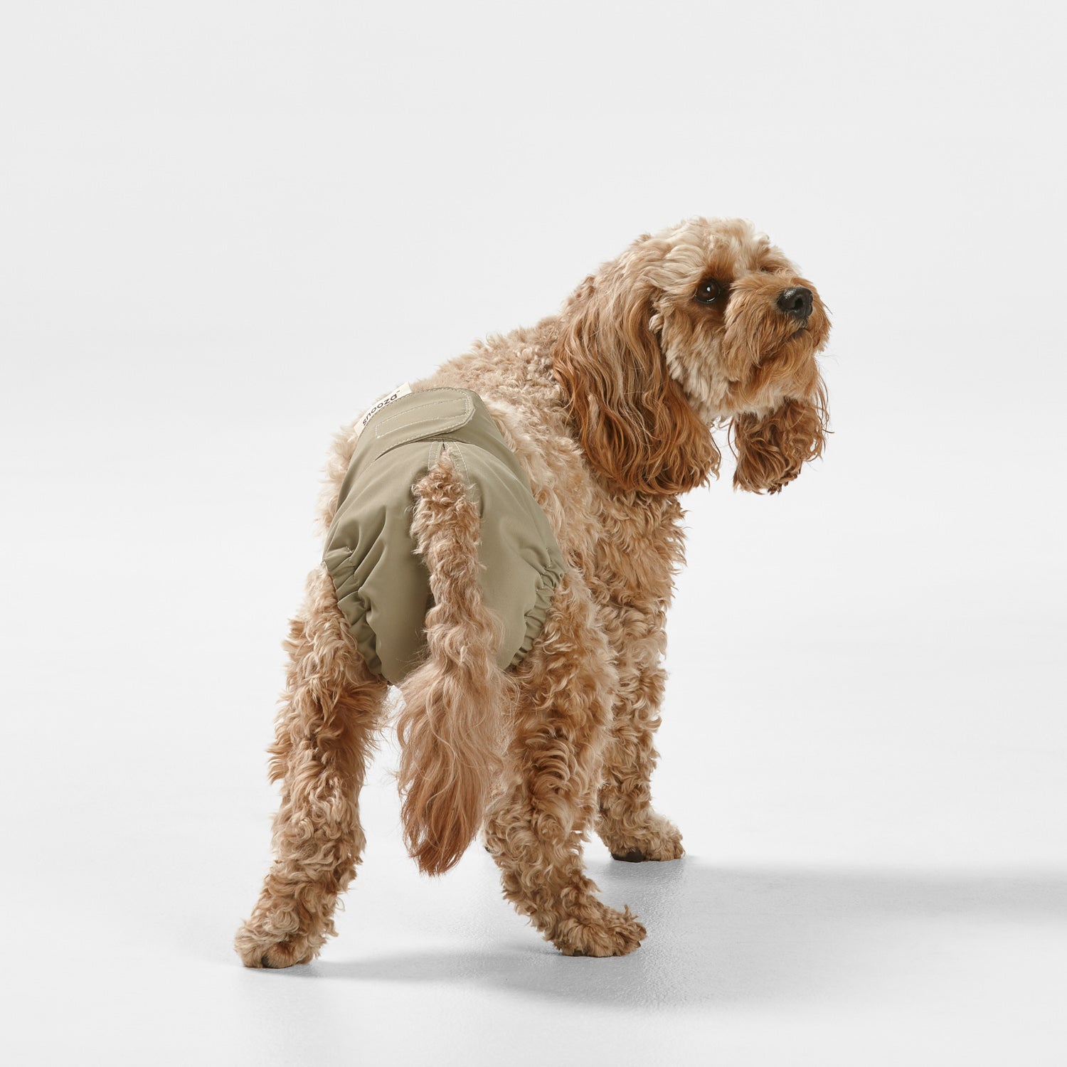 Snooza Washable Nappy Pant for Female Dogs 2 Pack