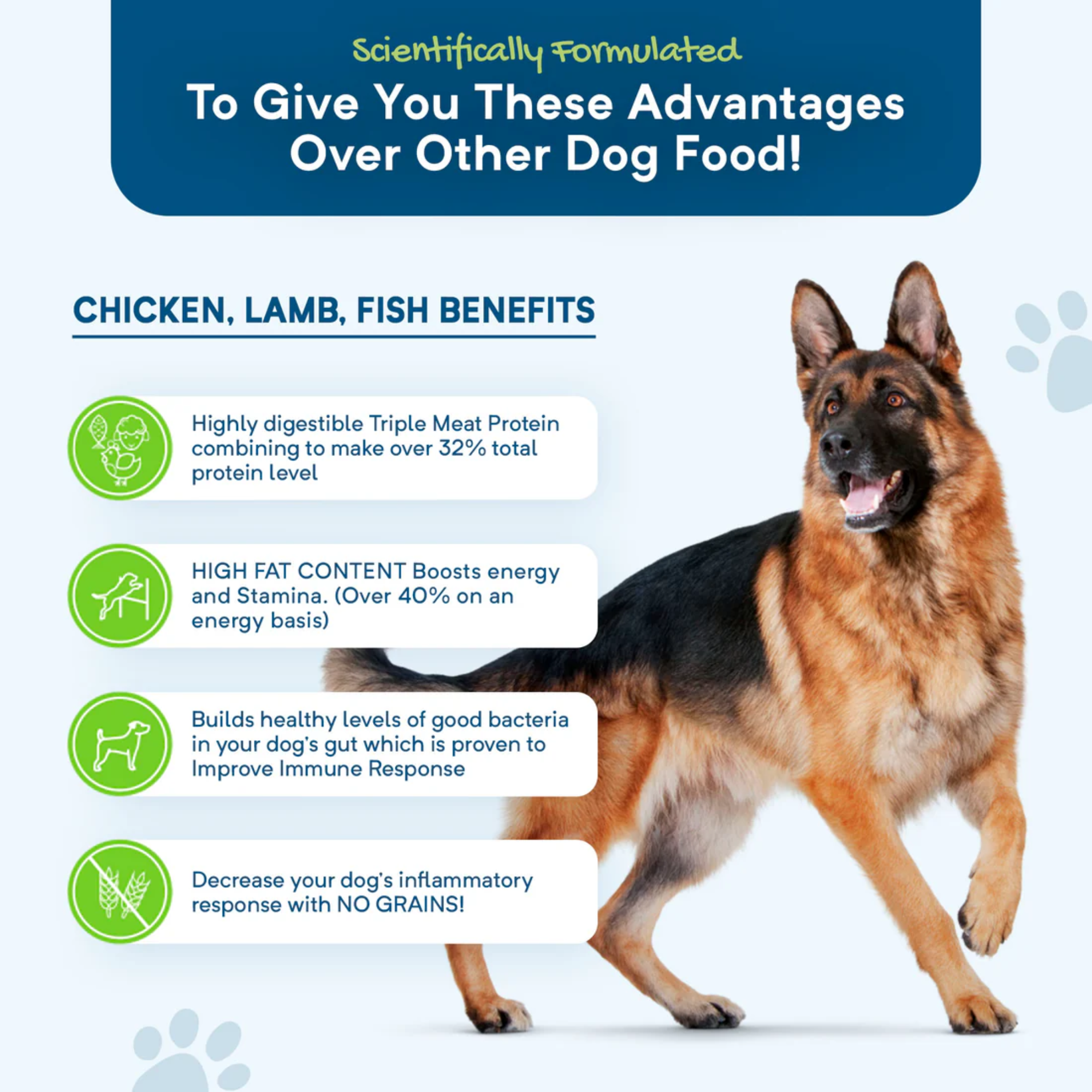 Stay Loyal Premium Original Chicken Lamb & Fish Grain Free Dry Dog Food