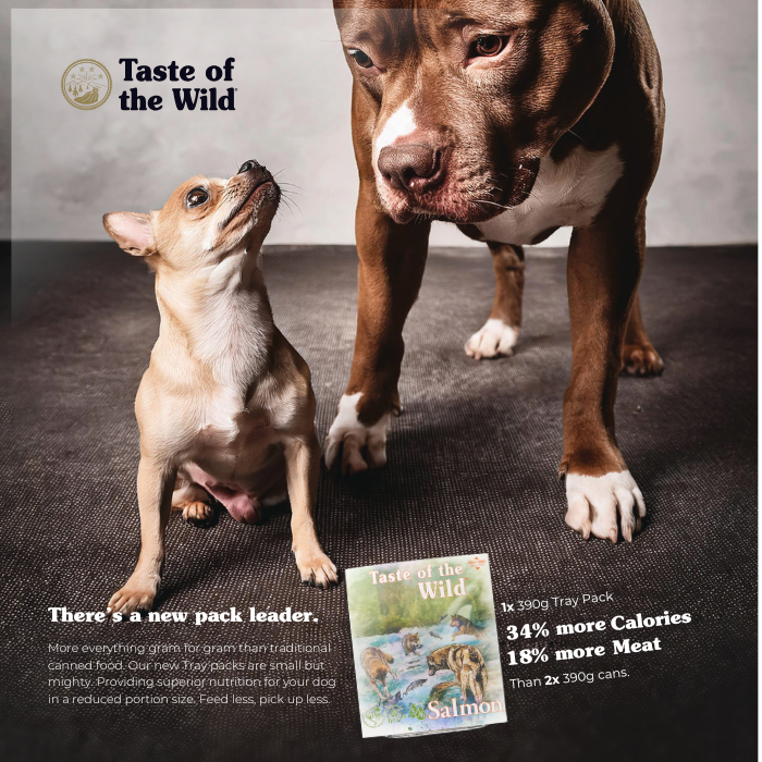 Taste of the Wild Salmon and Herring with Fruit and Vegetables Wet Dog