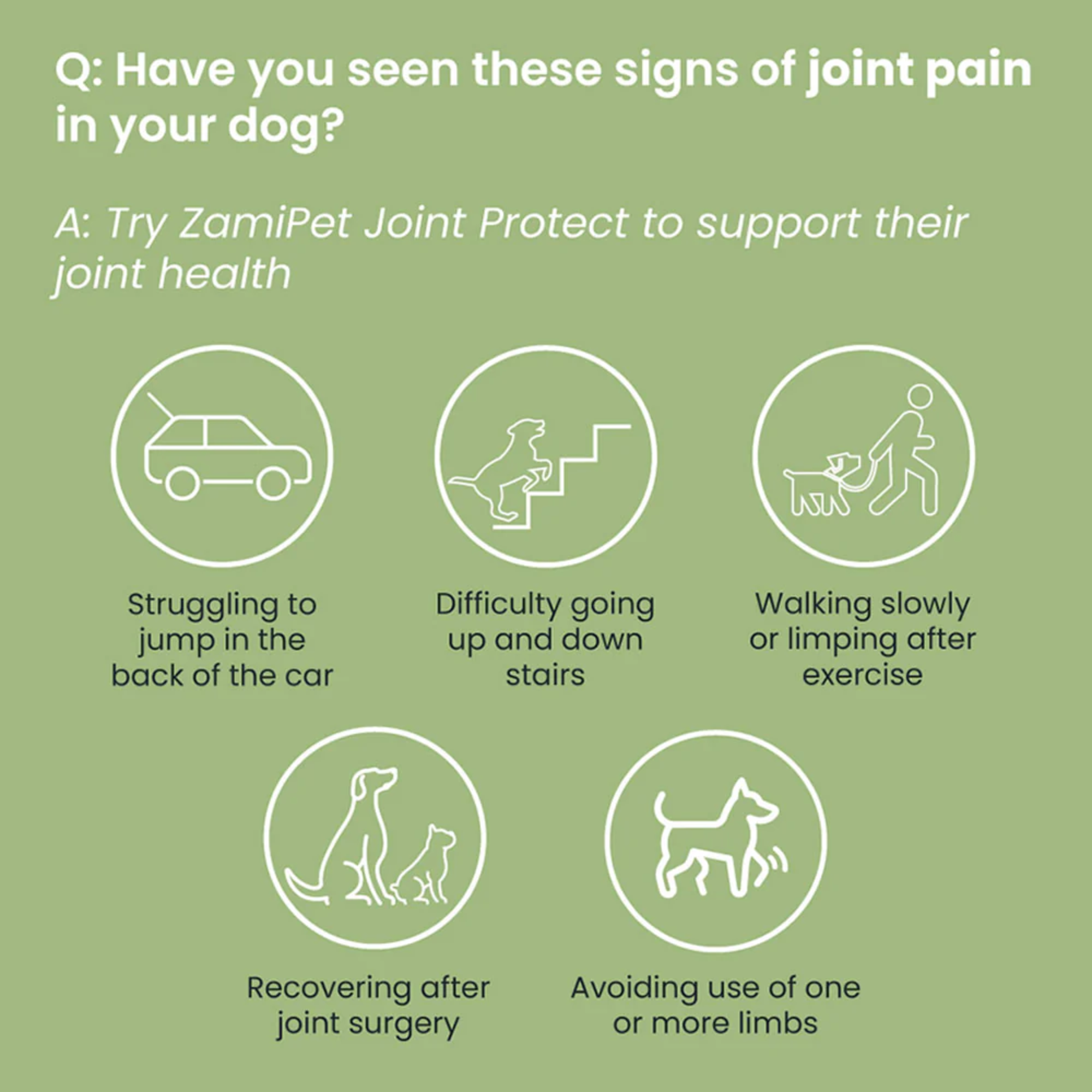 ZamiPet Joint Protect Chews for Dogs