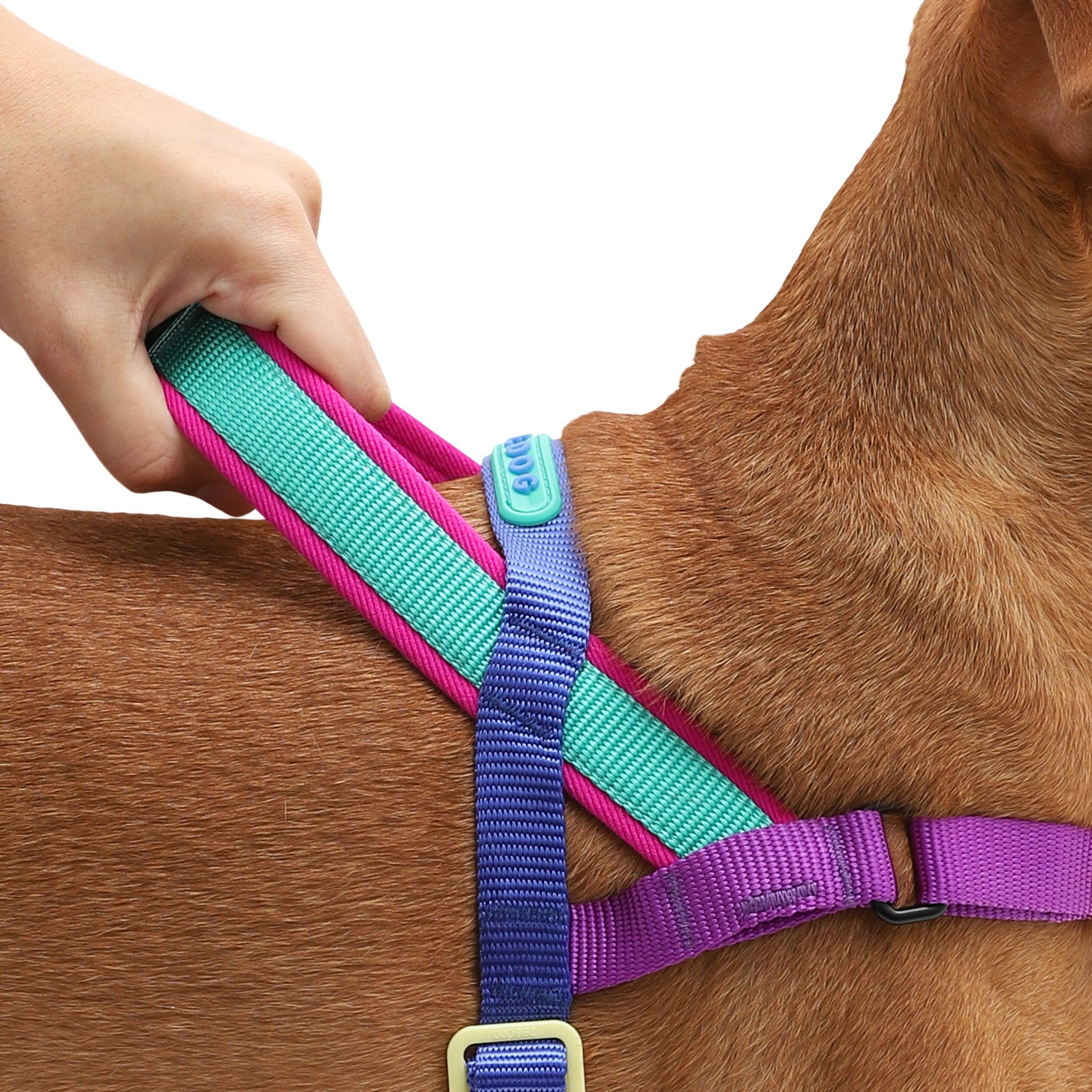 Zee Dog Shockwave SofterWalk Dog Harness