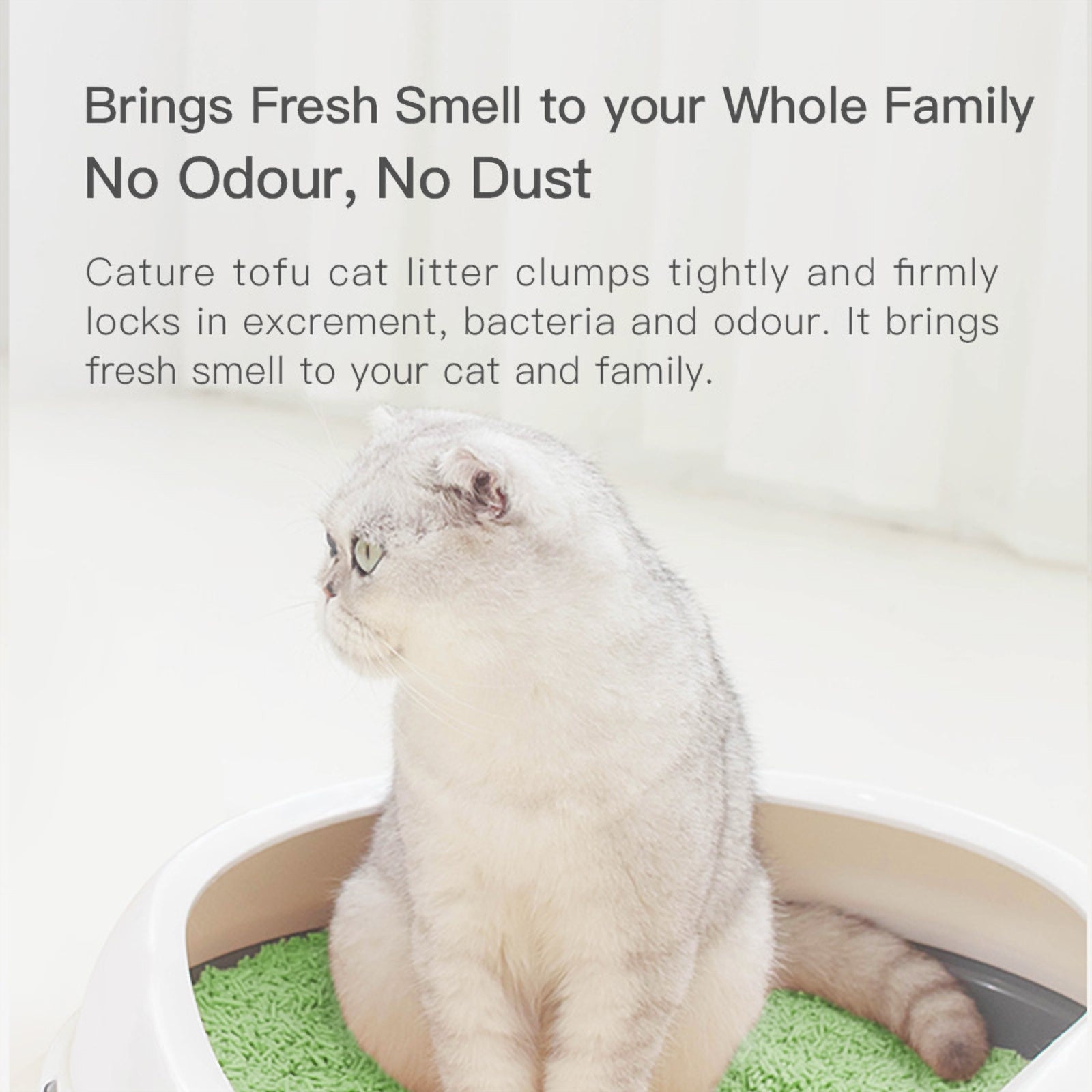 Cature Natural Tofu Clumping Green Tea Cat Litter 2.4kg x 6
