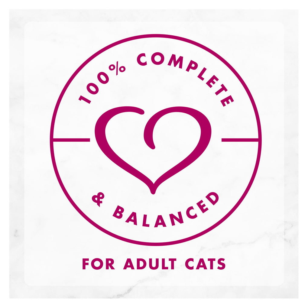 Fancy Feast Savoury Centers Pate With Salmon And Gourmet Gravy Center Adult Wet Cat Food 85g x 48