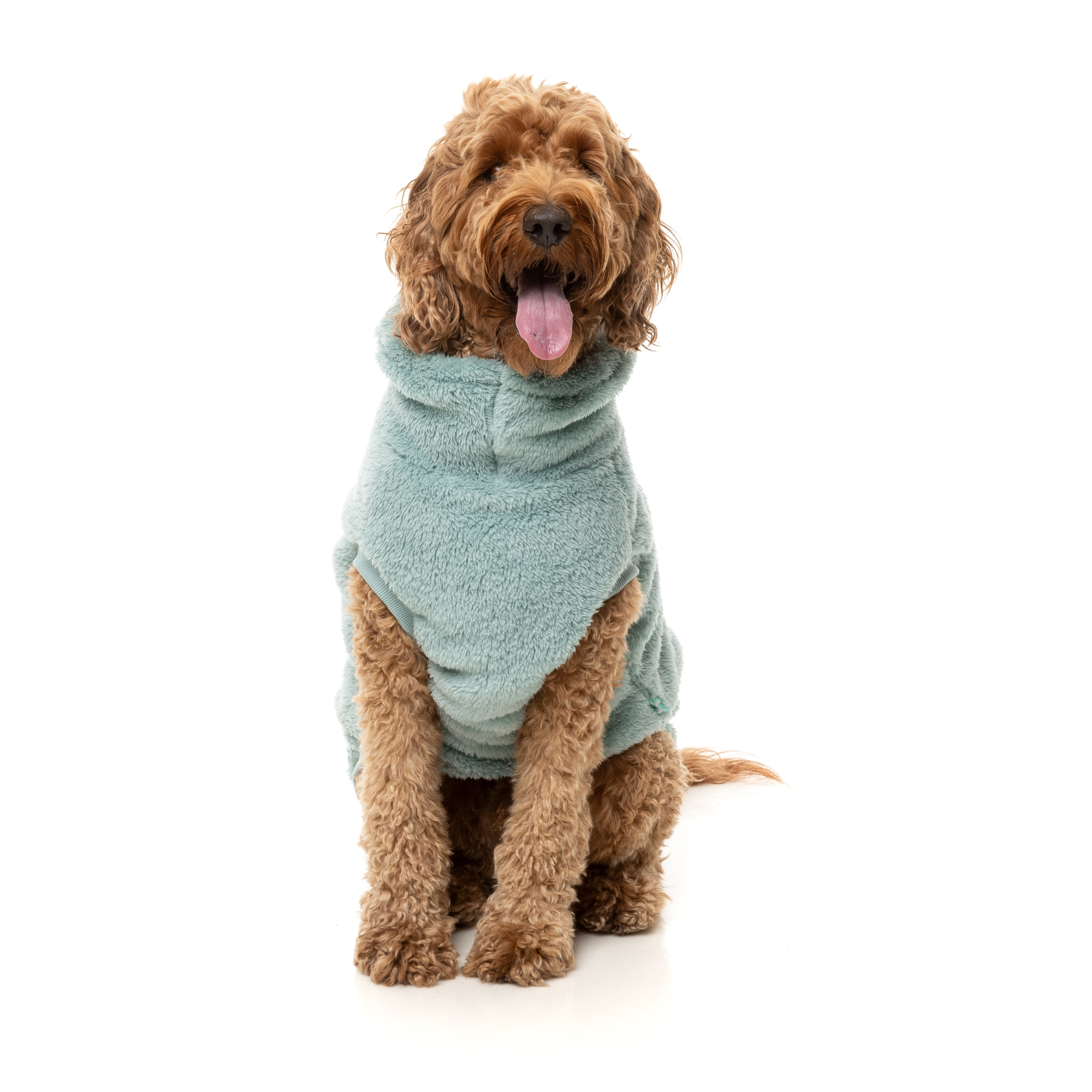 FuzzYard Turtle Teddy Dog Sweater Arctic Blue