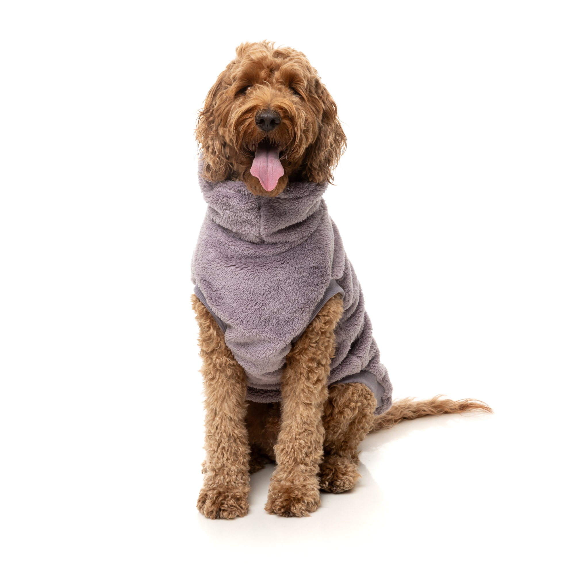 FuzzYard Turtle Teddy Dog Sweater Lavender