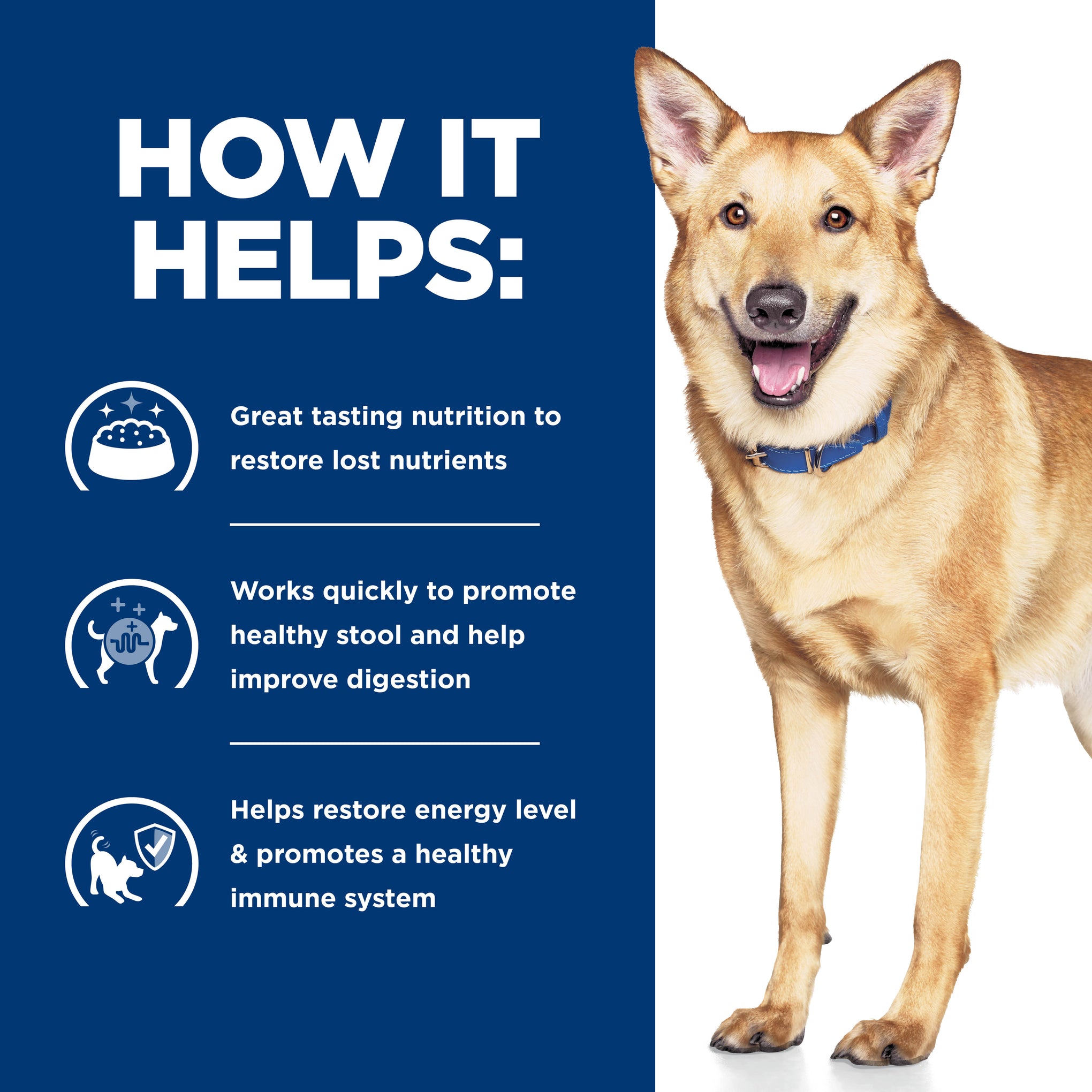 Hill's Prescription Diet i/d Digestive Care Dry Dog Food 3.85kg