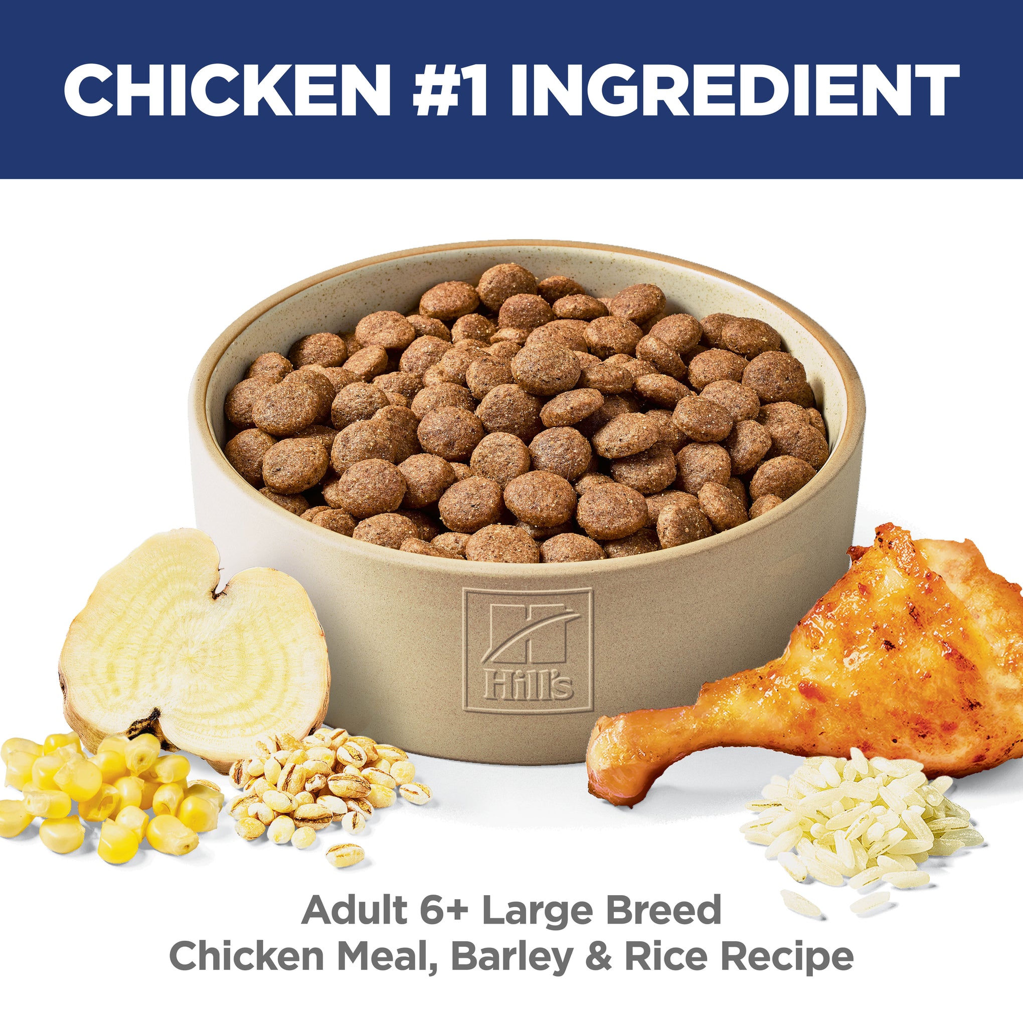 Hill's Science Diet Adult 6+ Senior Large Breed Senior Dry Dog Food 12kg