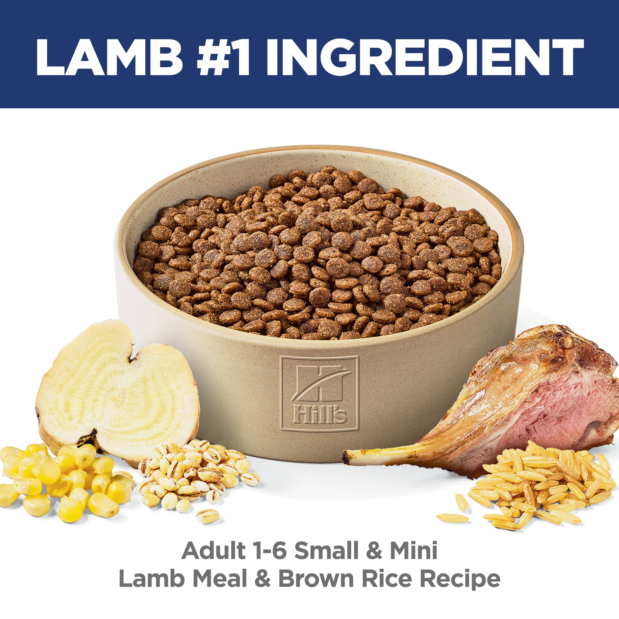 Hill's Science Diet Adult Small and Mini Lamb & Rice Dry Dog Food 2.04kg