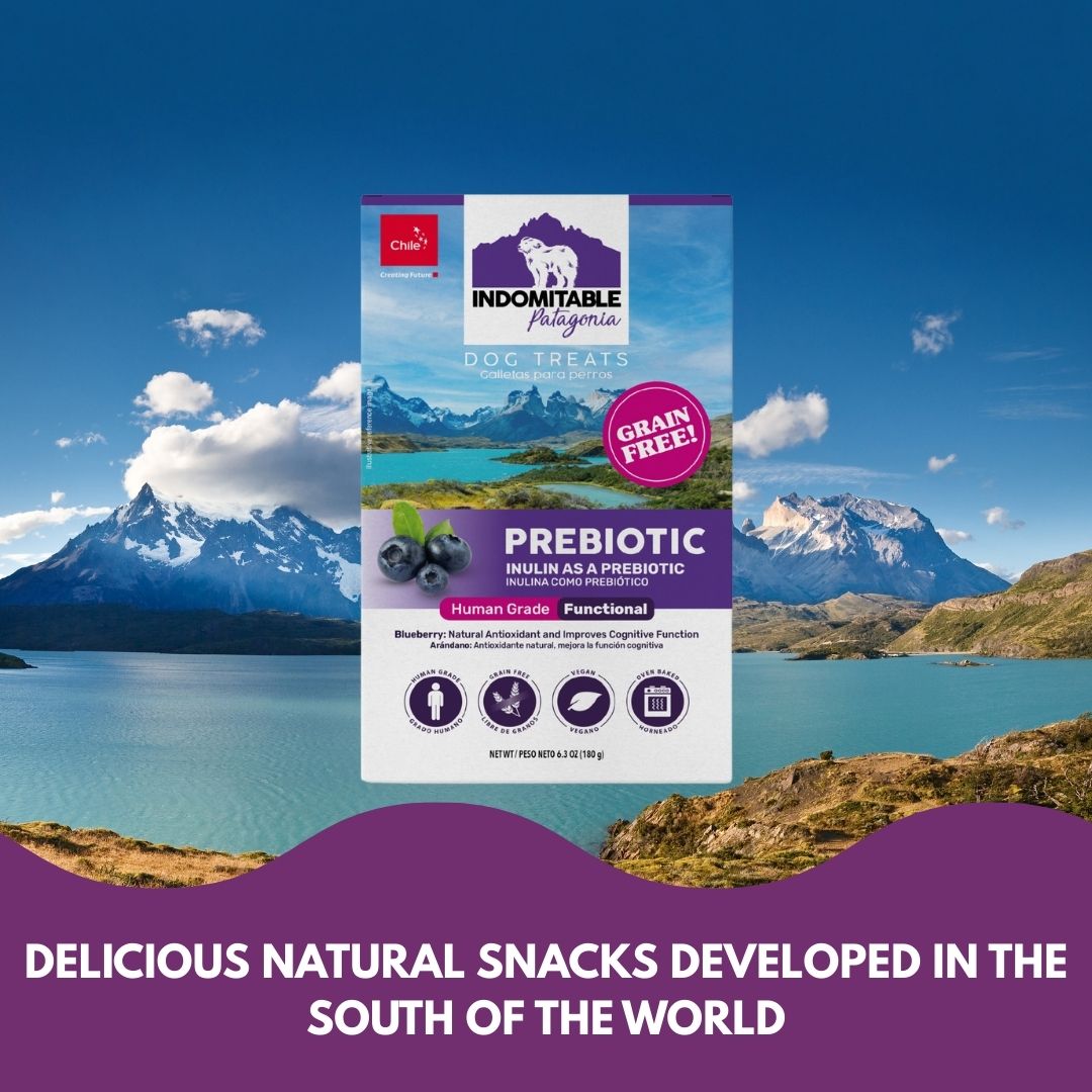 Indomitable Patagonia Prebiotic Blueberry Biscuits Grain Free Dog Treats 180g