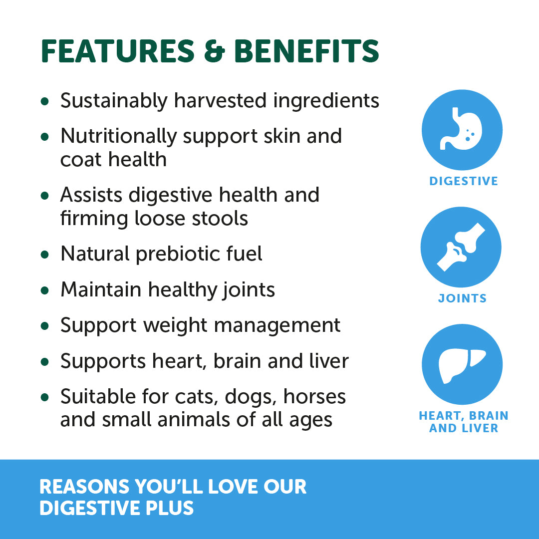 Natural Animal Solutions Digestavite Plus 100g