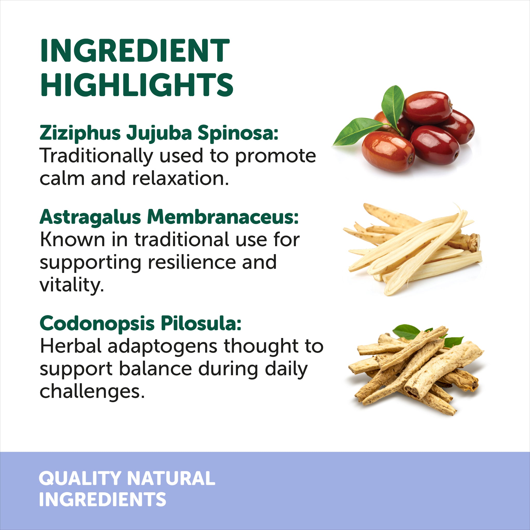 Natural Animal Solutions Dog and Cat Calm