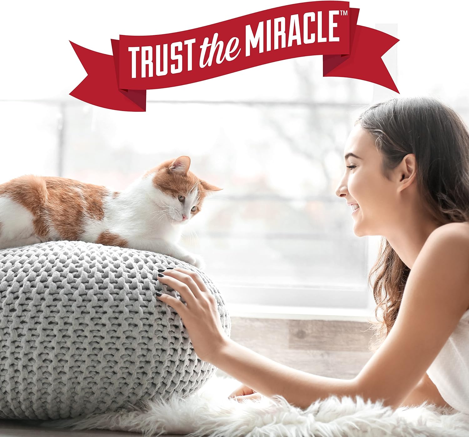 Nature's Miracle Oxy Formula Cat Set in Stain Destroyer Odour Control 709ml