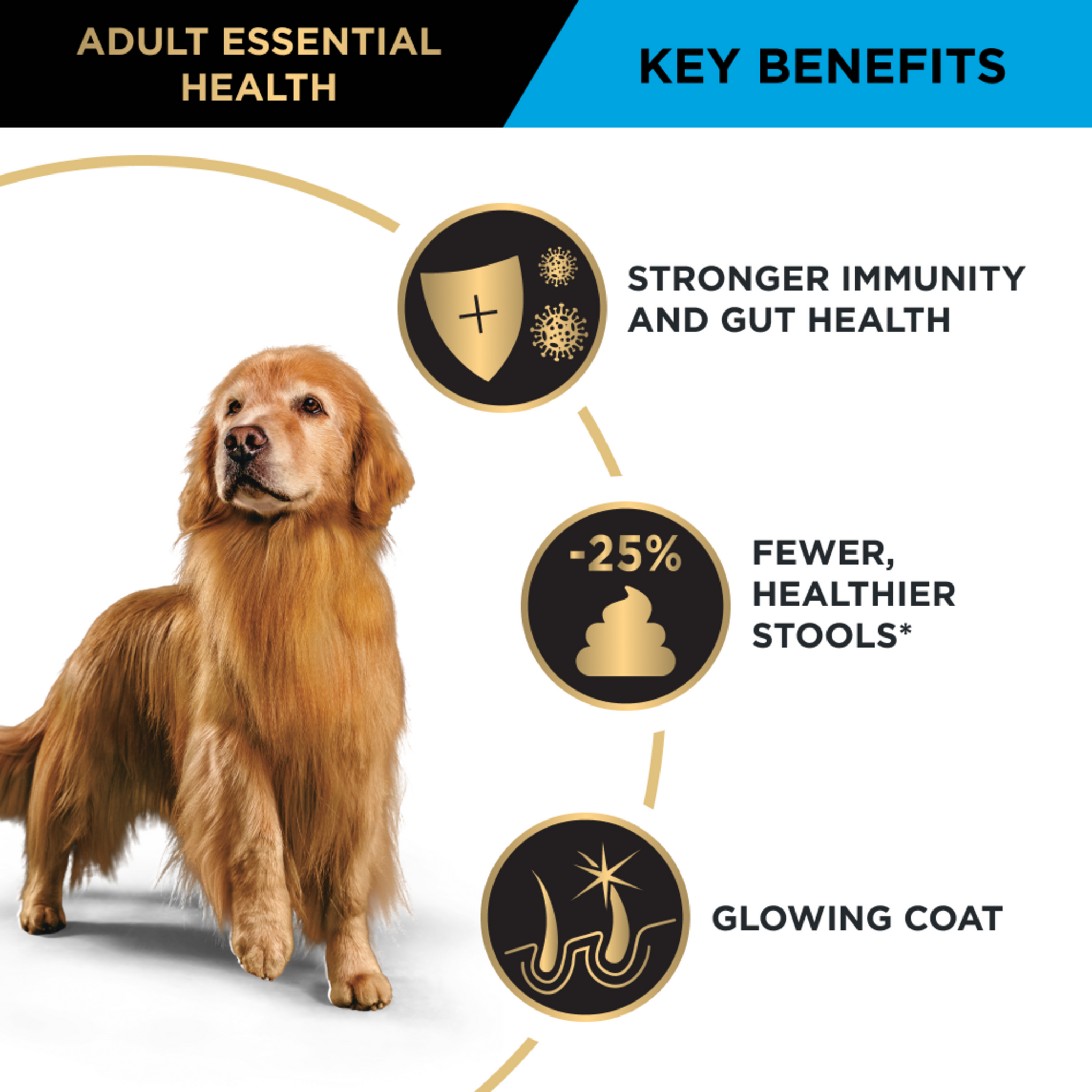 Essential large breed clearance