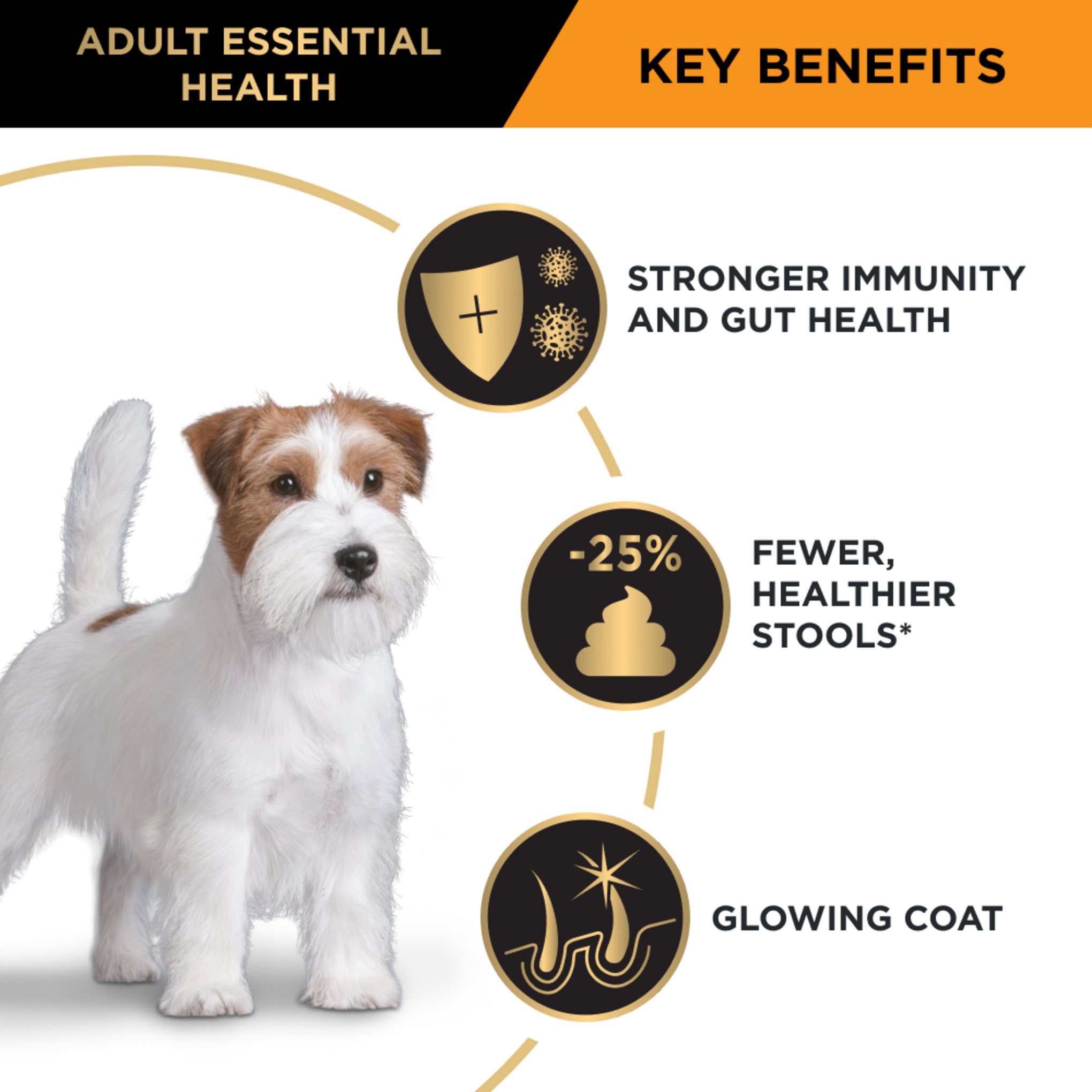 Pro Plan Essential Health Adult Chicken Small & Toy Breed Dry Dog Food
