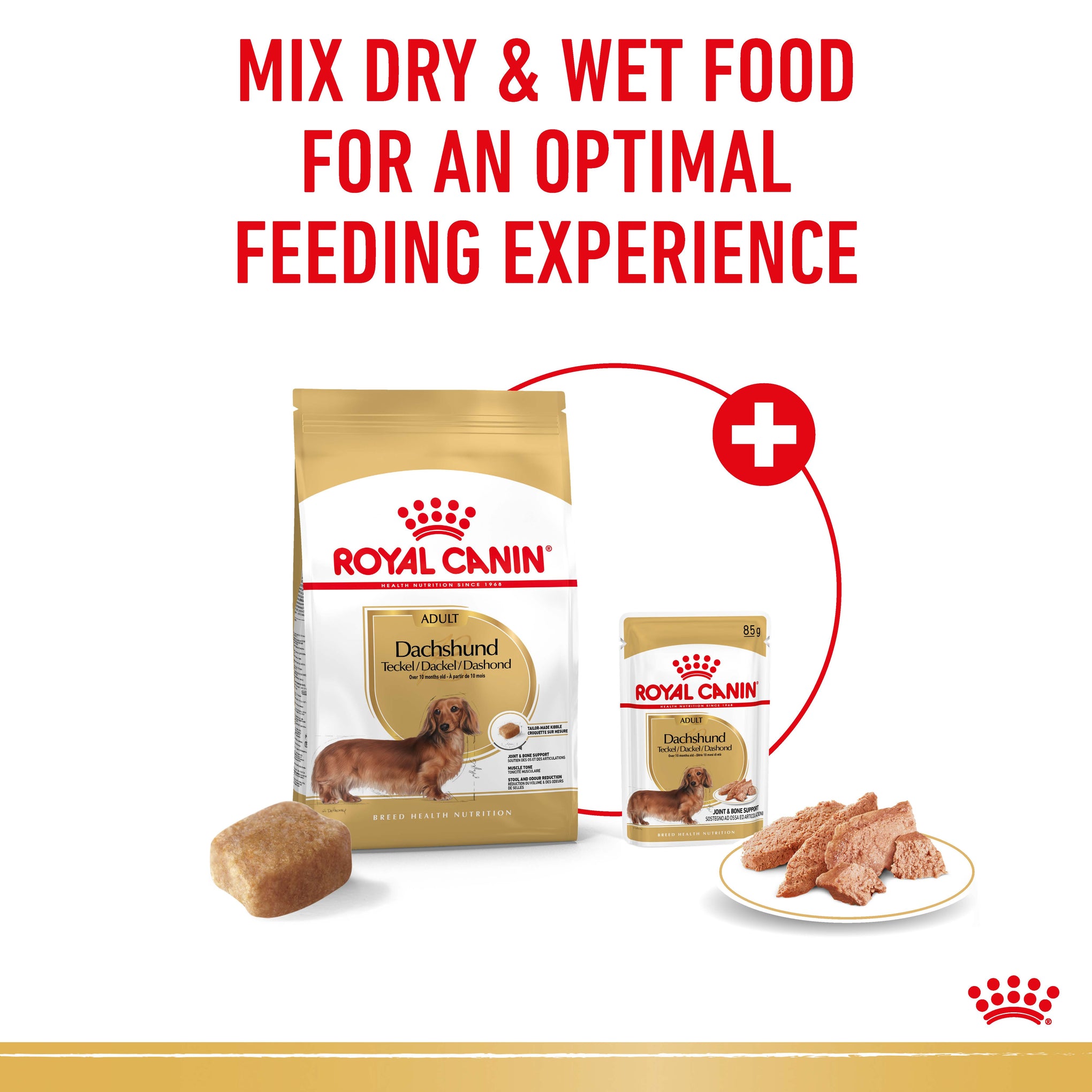 Royal Canin Dachshund Adult Wet Dog Food Pouches 85g x 12