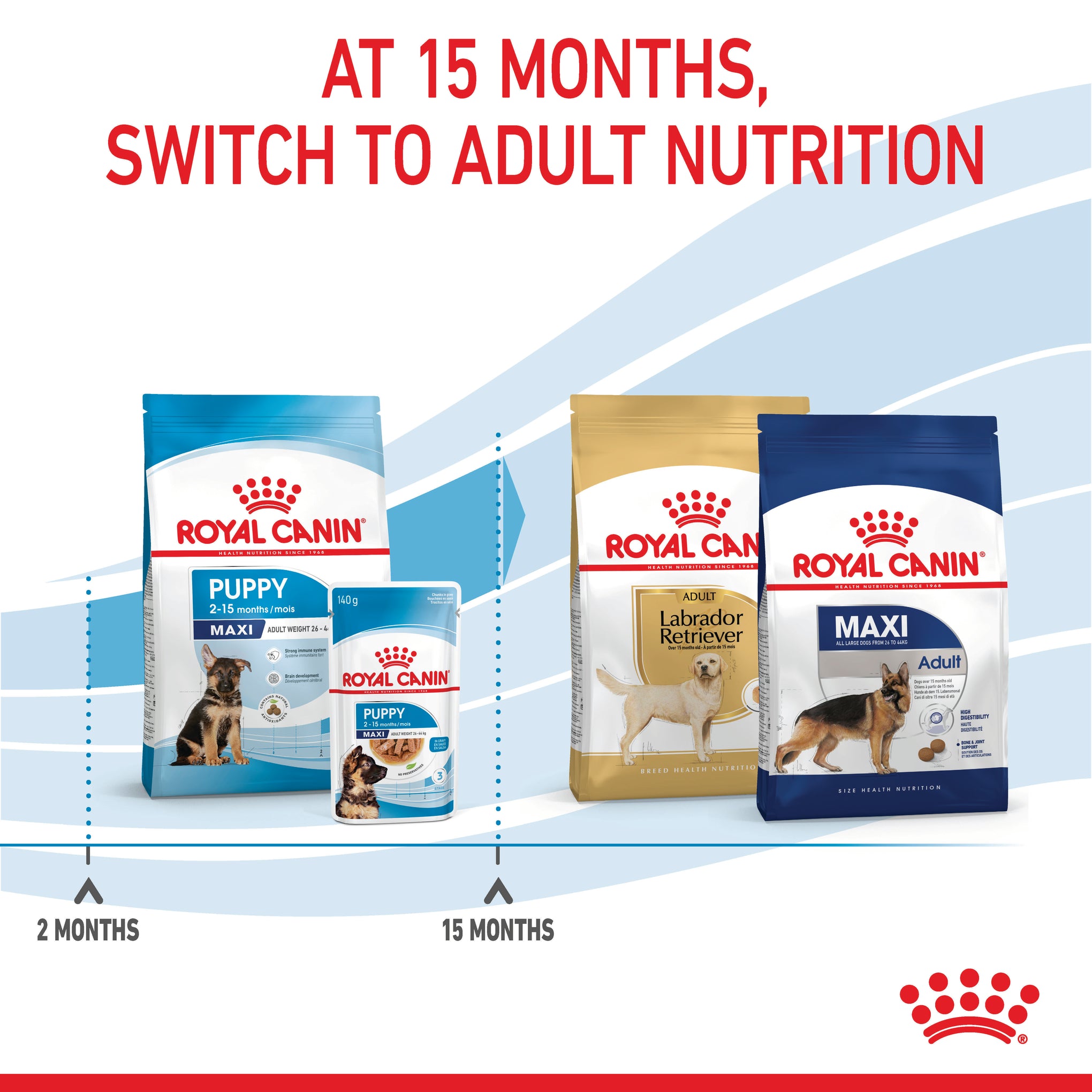 Royal Canin Maxi Puppy Dry Dog Food