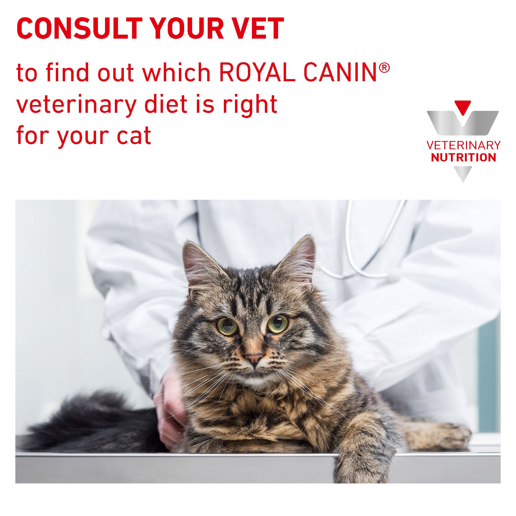 Royal Canin Veterinary Diet Diabetic Adult Wet Cat Food 85g x 12