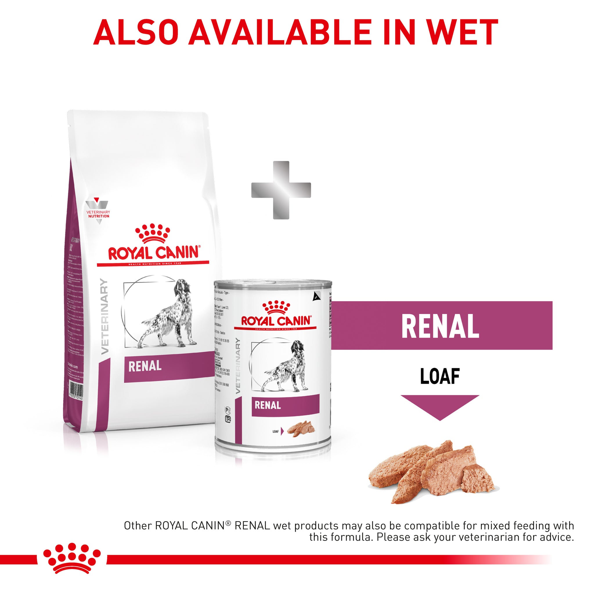 Royal Canin Veterinary Diet Renal Adult Dry Dog Food