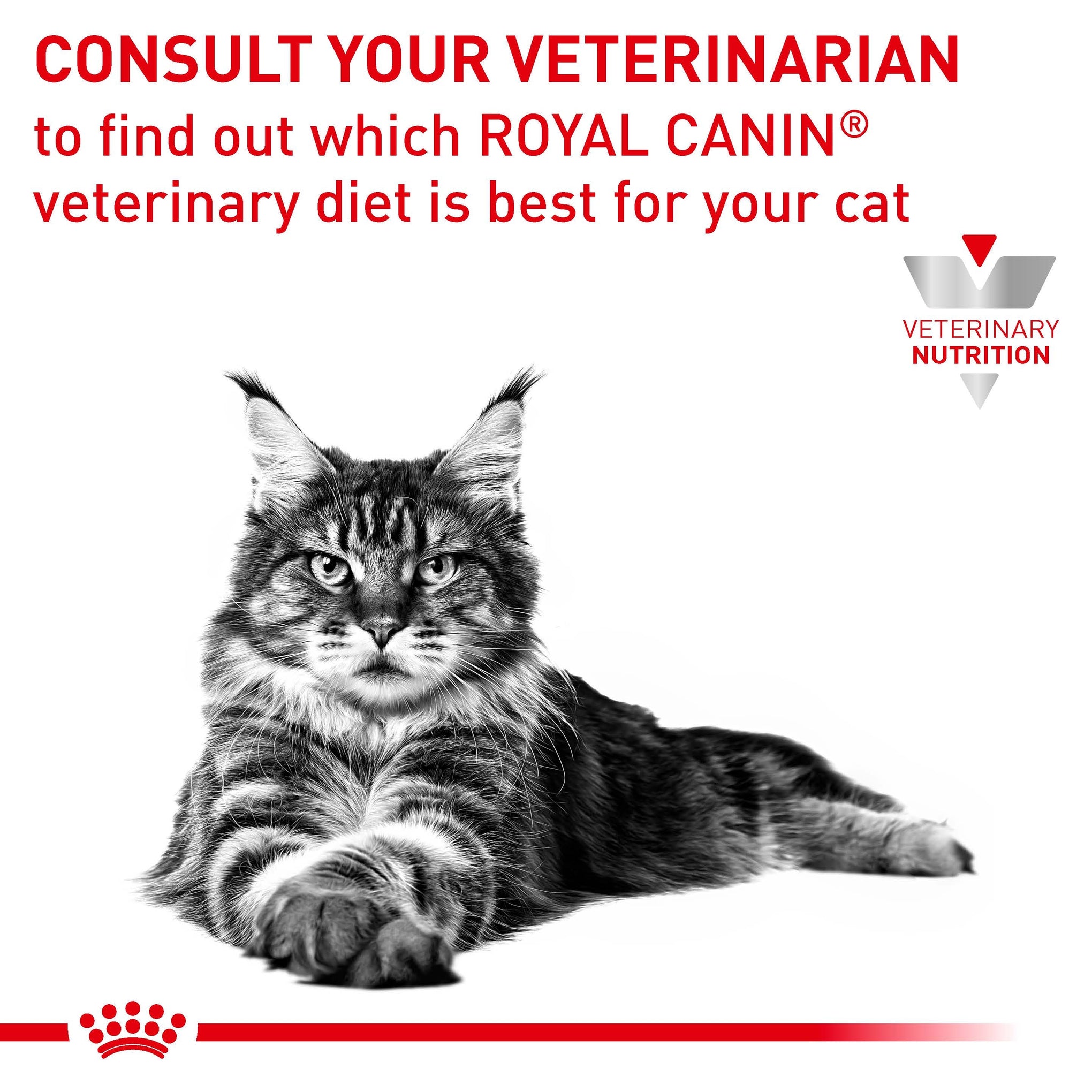 Royal Canin Veterinary Diet Renal Chicken Adult Wet Cat Food 85g x 12
