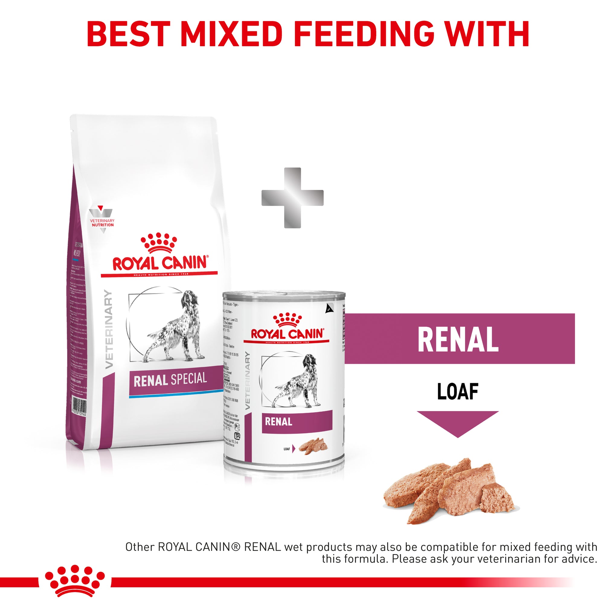 Royal Canin Veterinary Diet Renal Special Adult Dry Dog Food 2kg