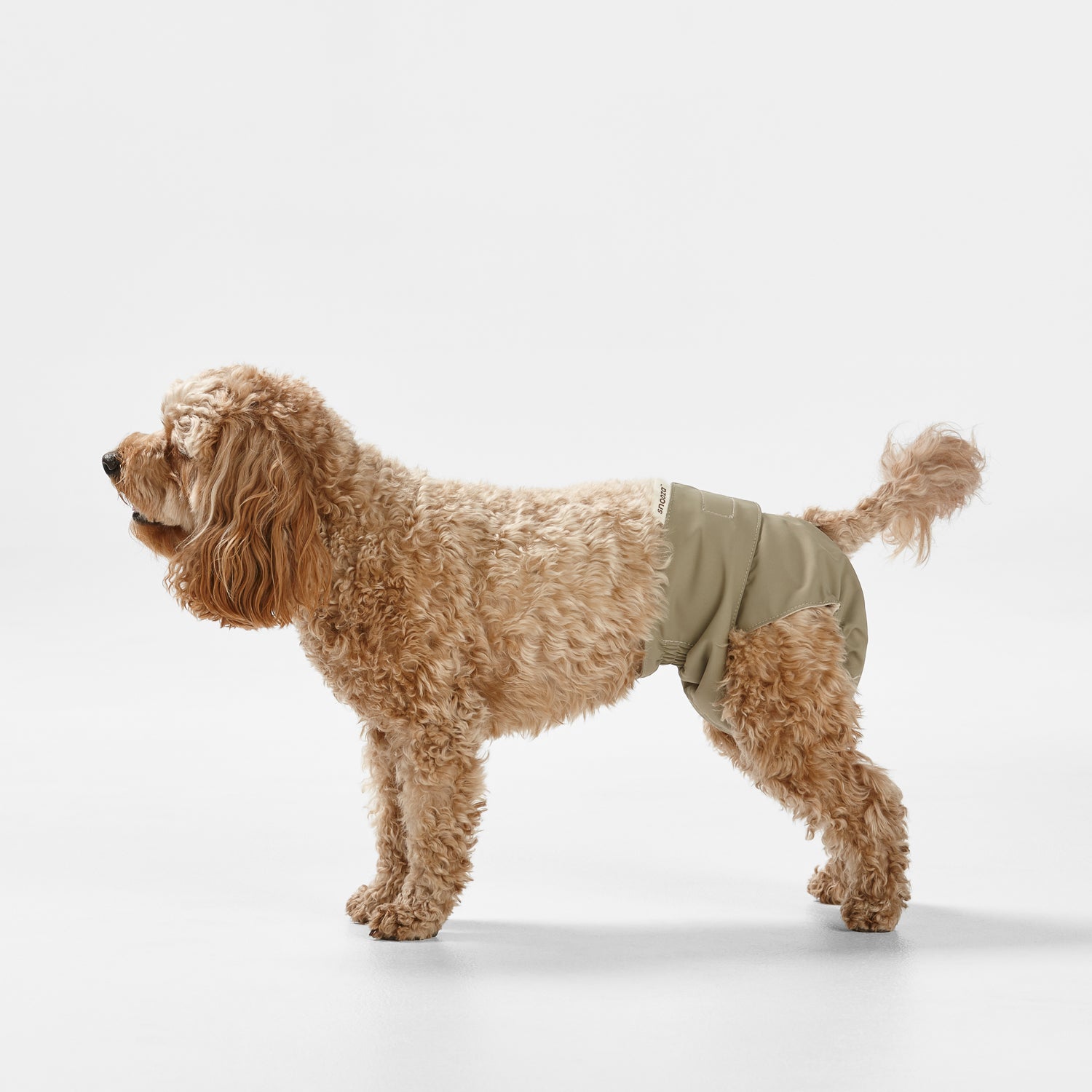 Snooza Washable Nappy Pant for Female Dogs 2 Pack