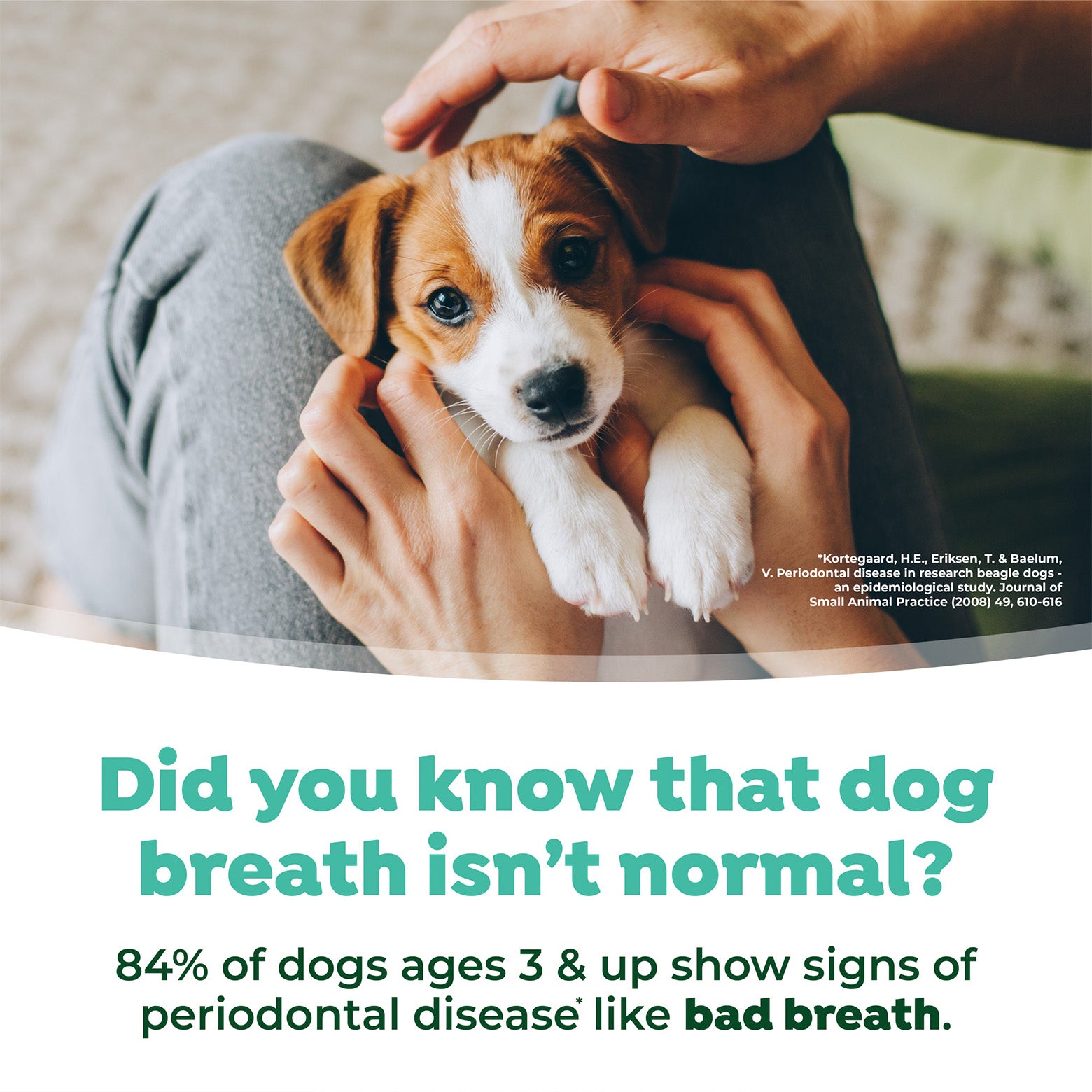 TropiClean Fresh Breath Dental Water Additive for Puppies 236ml