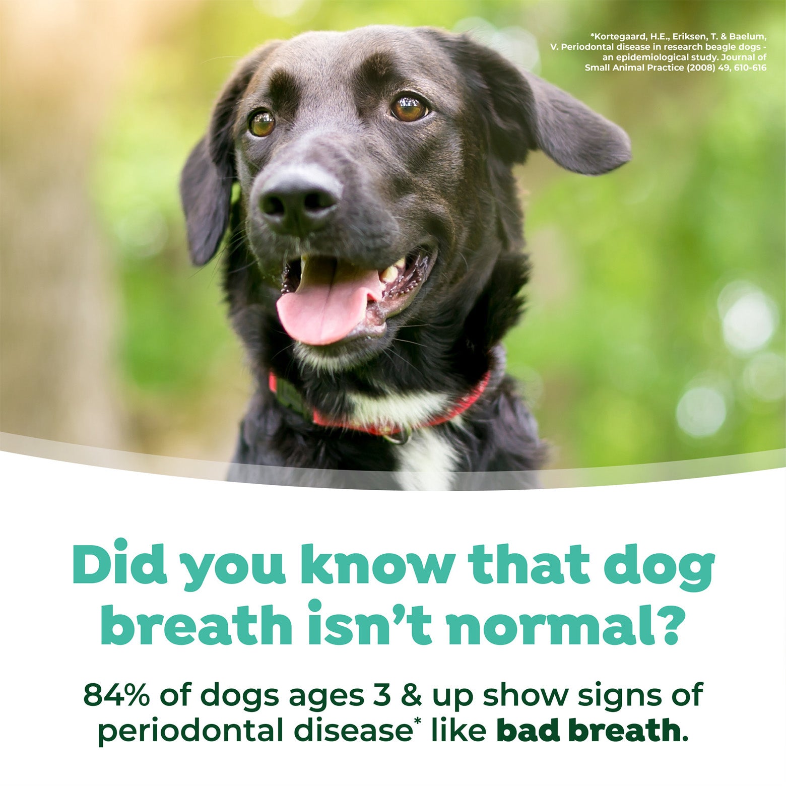 TropiClean Fresh Breath Dental Water Additive Original 1Ltr