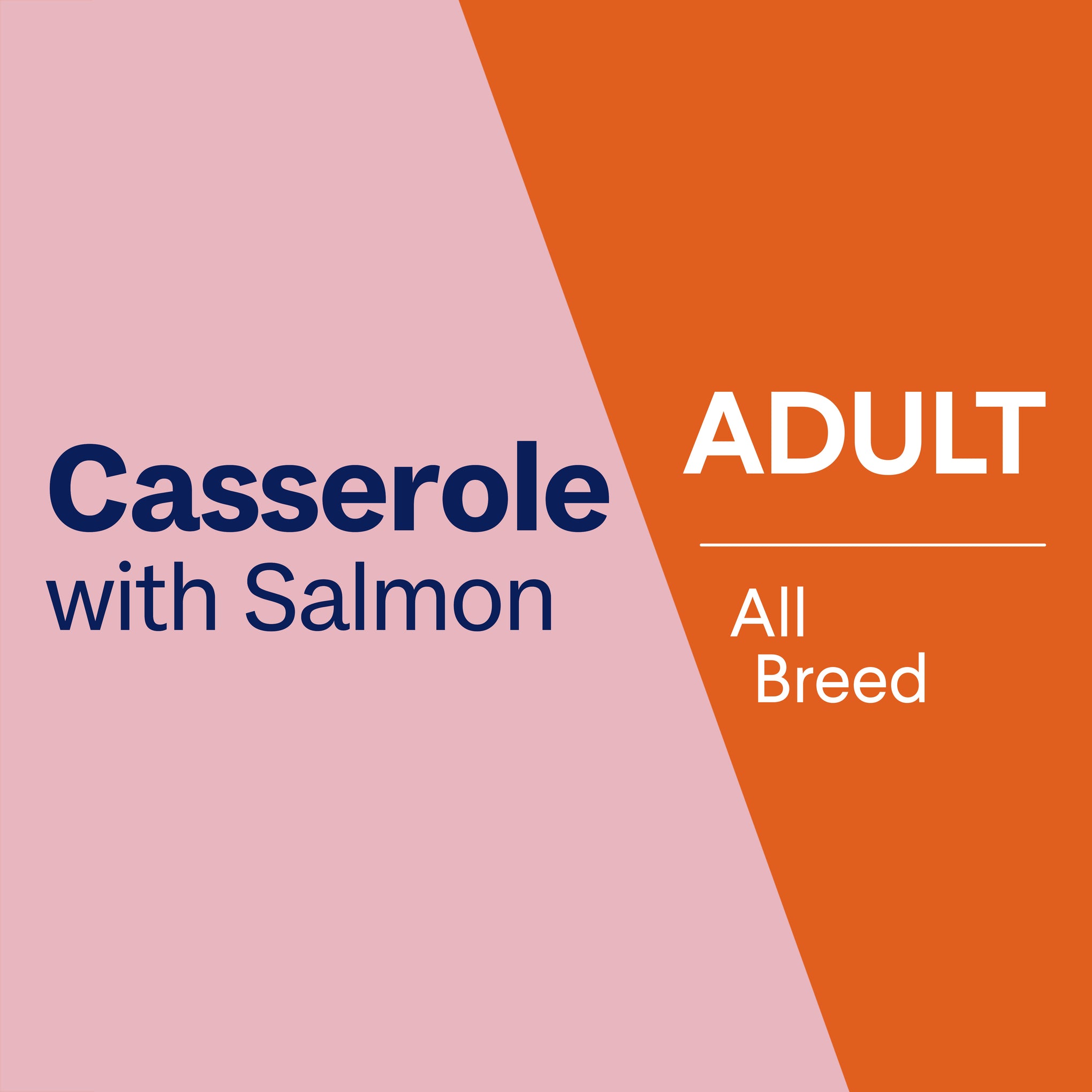 Advance Casserole with Salmon All Breed Adult Wet Dog Food Tray 100g x 12
