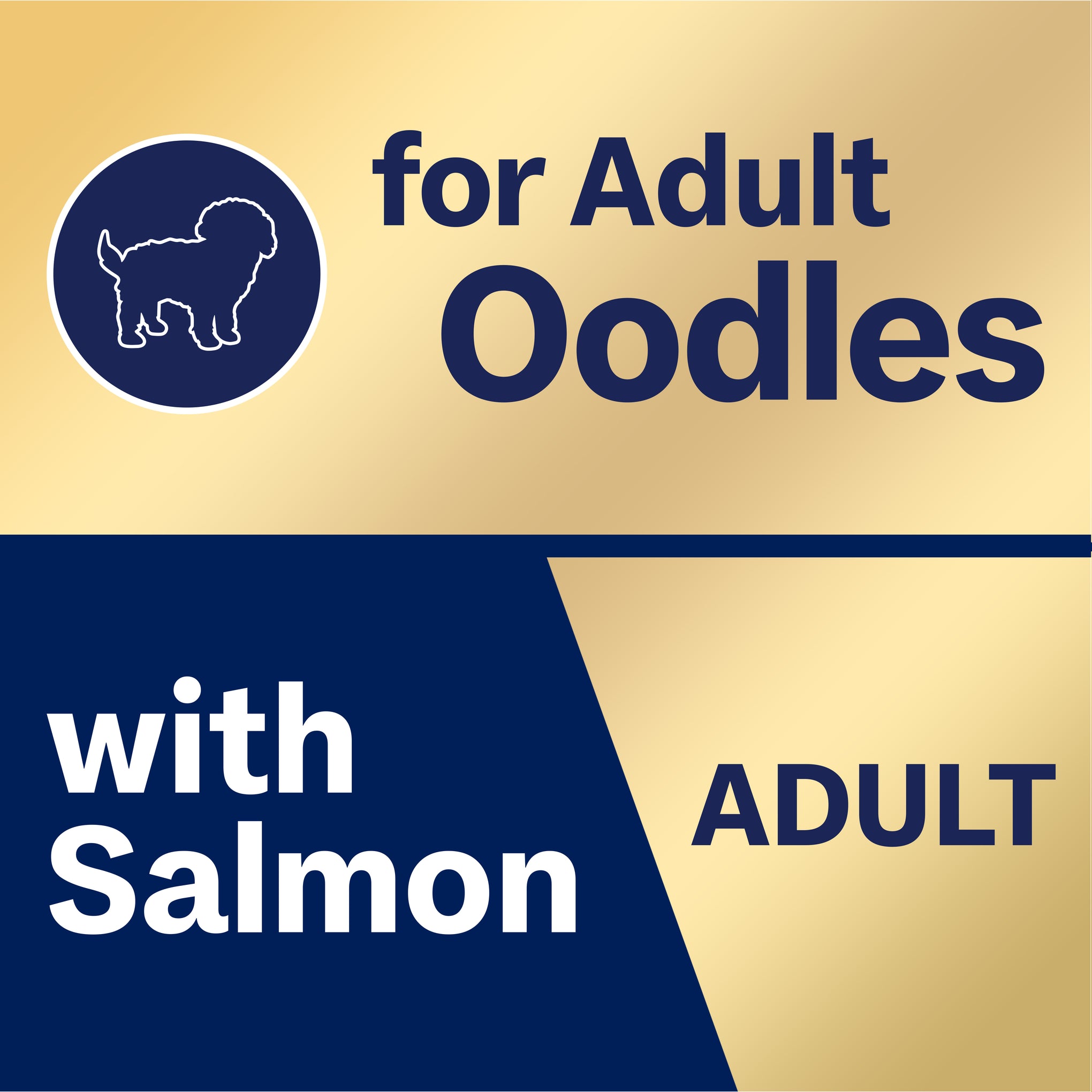 Advance Salmon Oodles Adult Wet Dog Food Trays 100g x 12