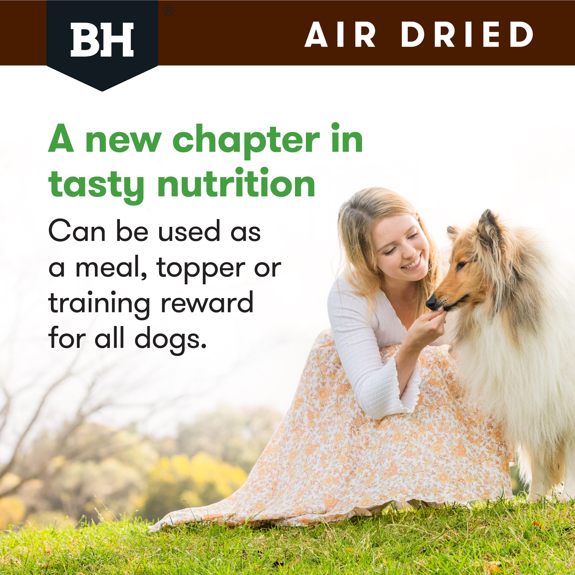 Black Hawk Air Dried Chicken Dry Dog Food