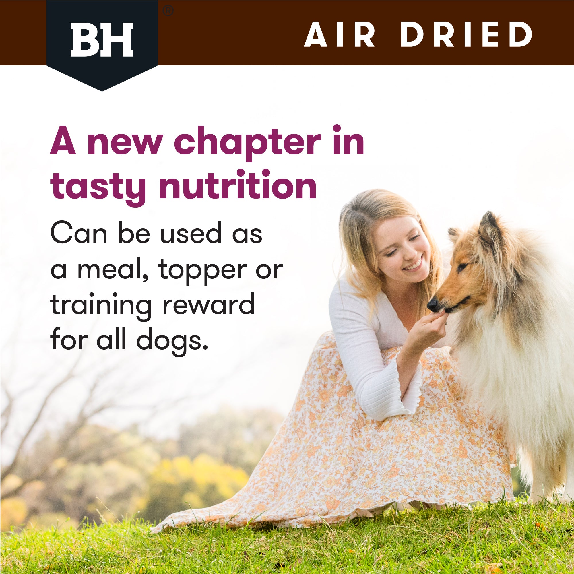 Black Hawk Air Dried Lamb Dry Dog Food