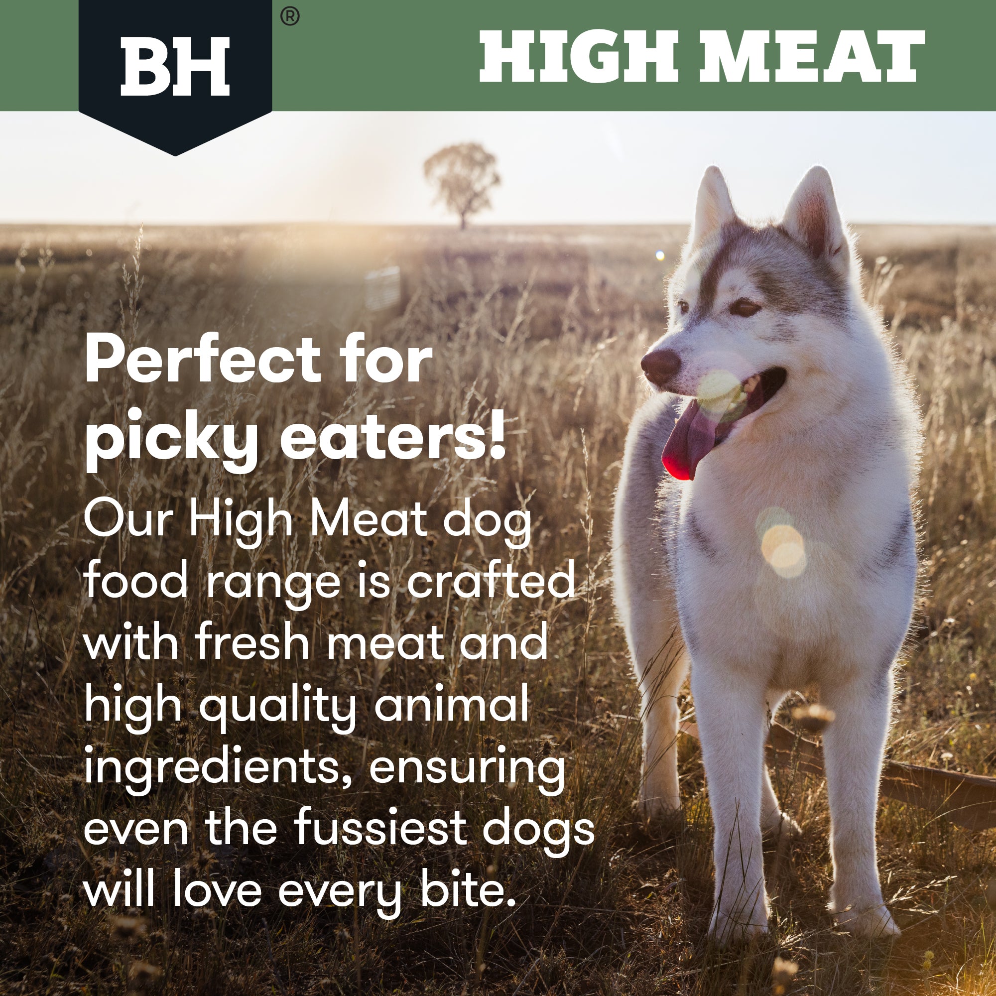 Black Hawk High Meat Australian Poultry Recipe Dry Dog Food