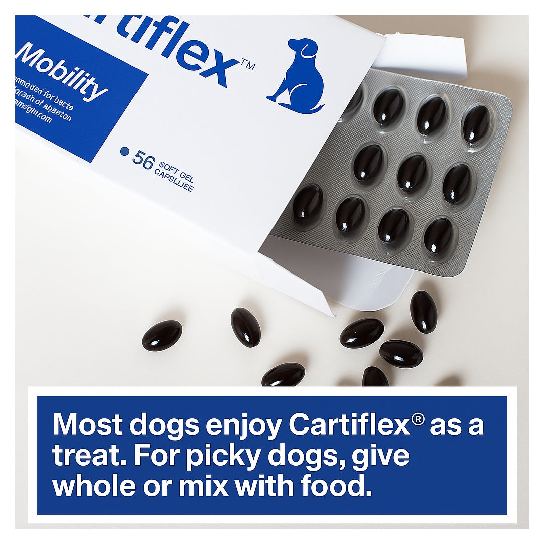 Cartiflex Joint Mobility Support Capsules for Dogs 300mg 56 Pack